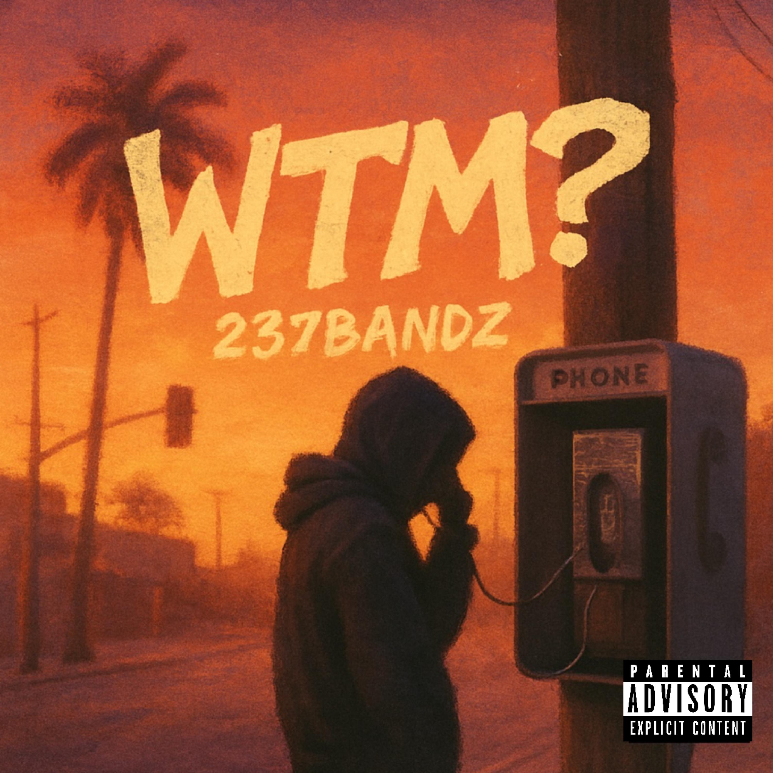 WTM? artwork