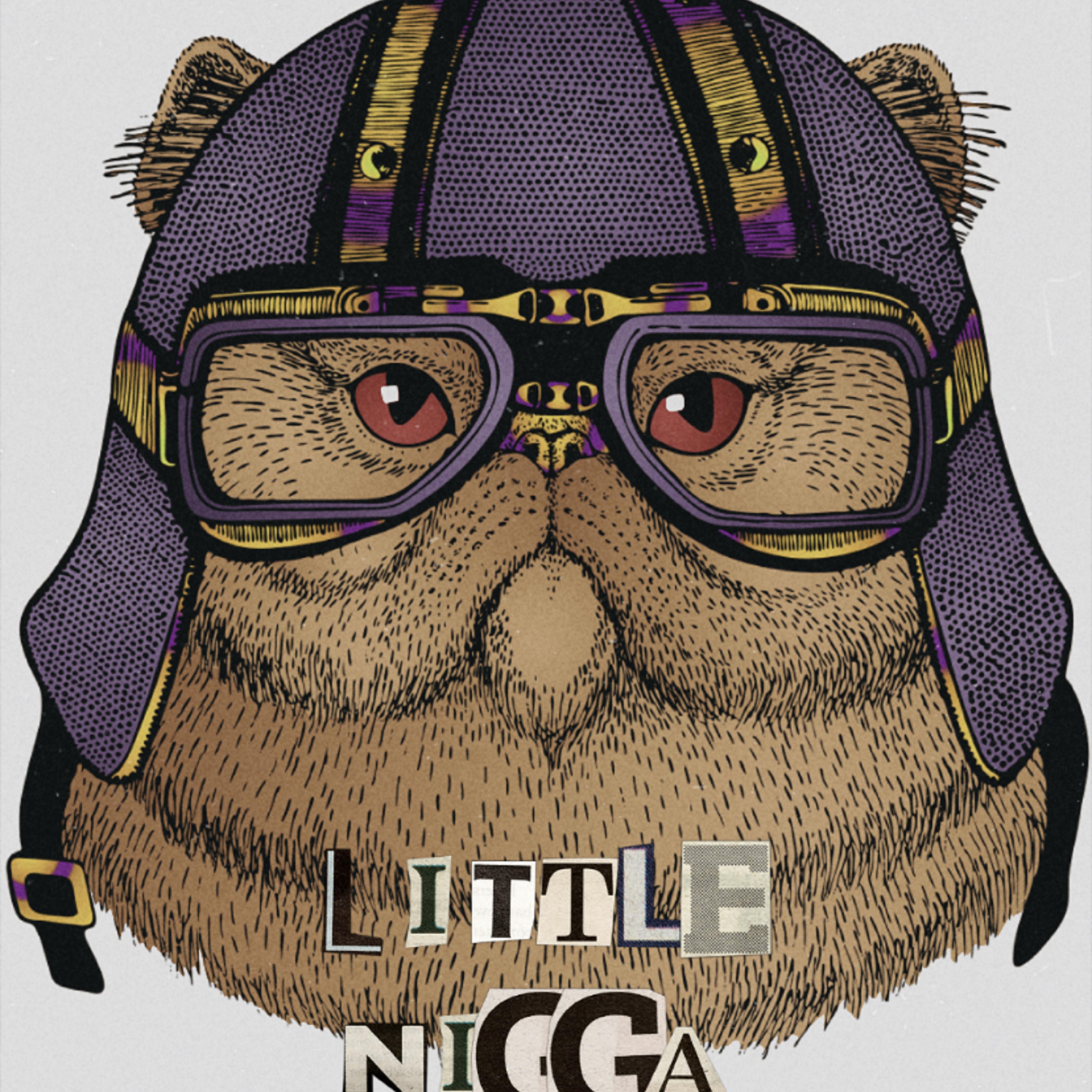 LiTTle NiGGa artwork