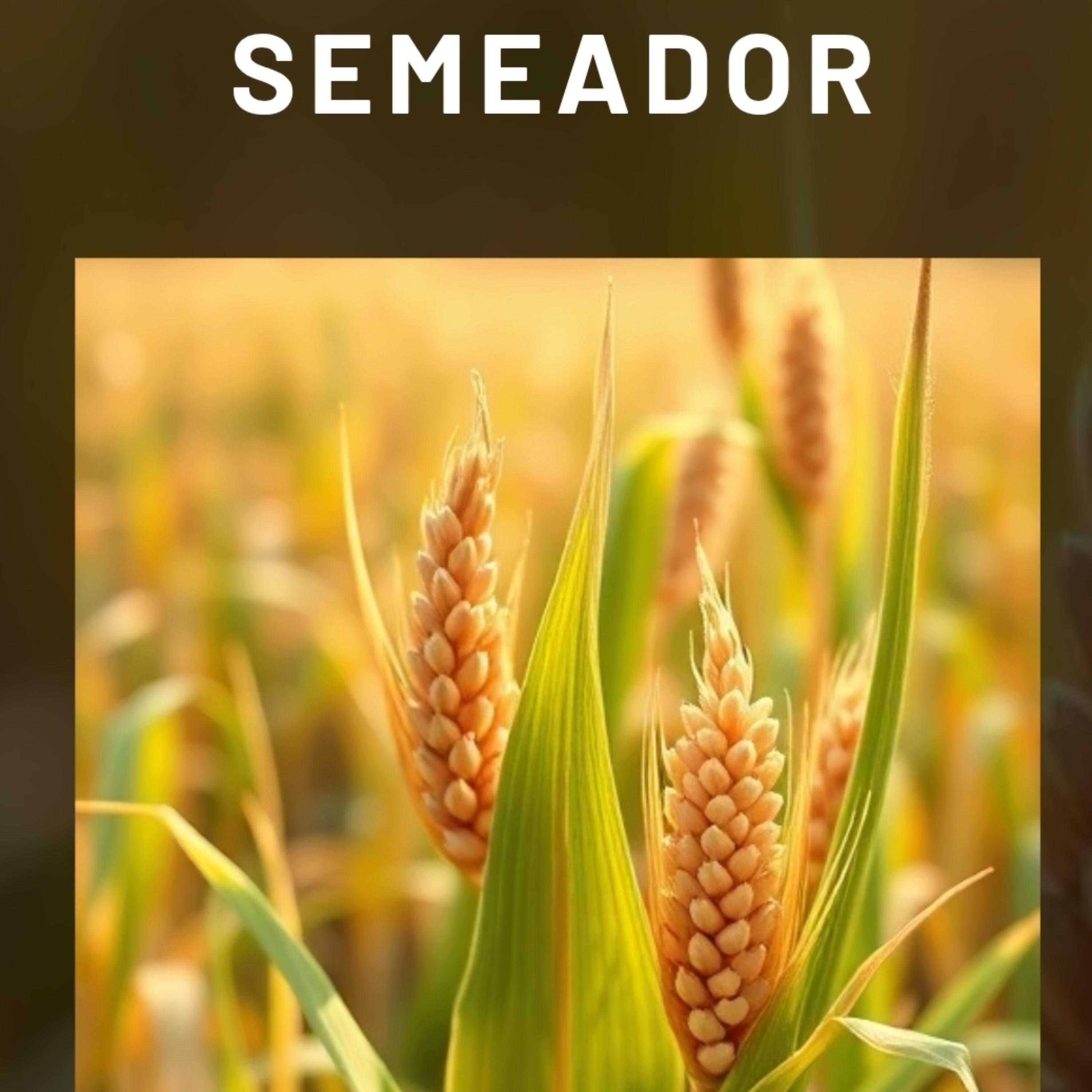 Semeador artwork