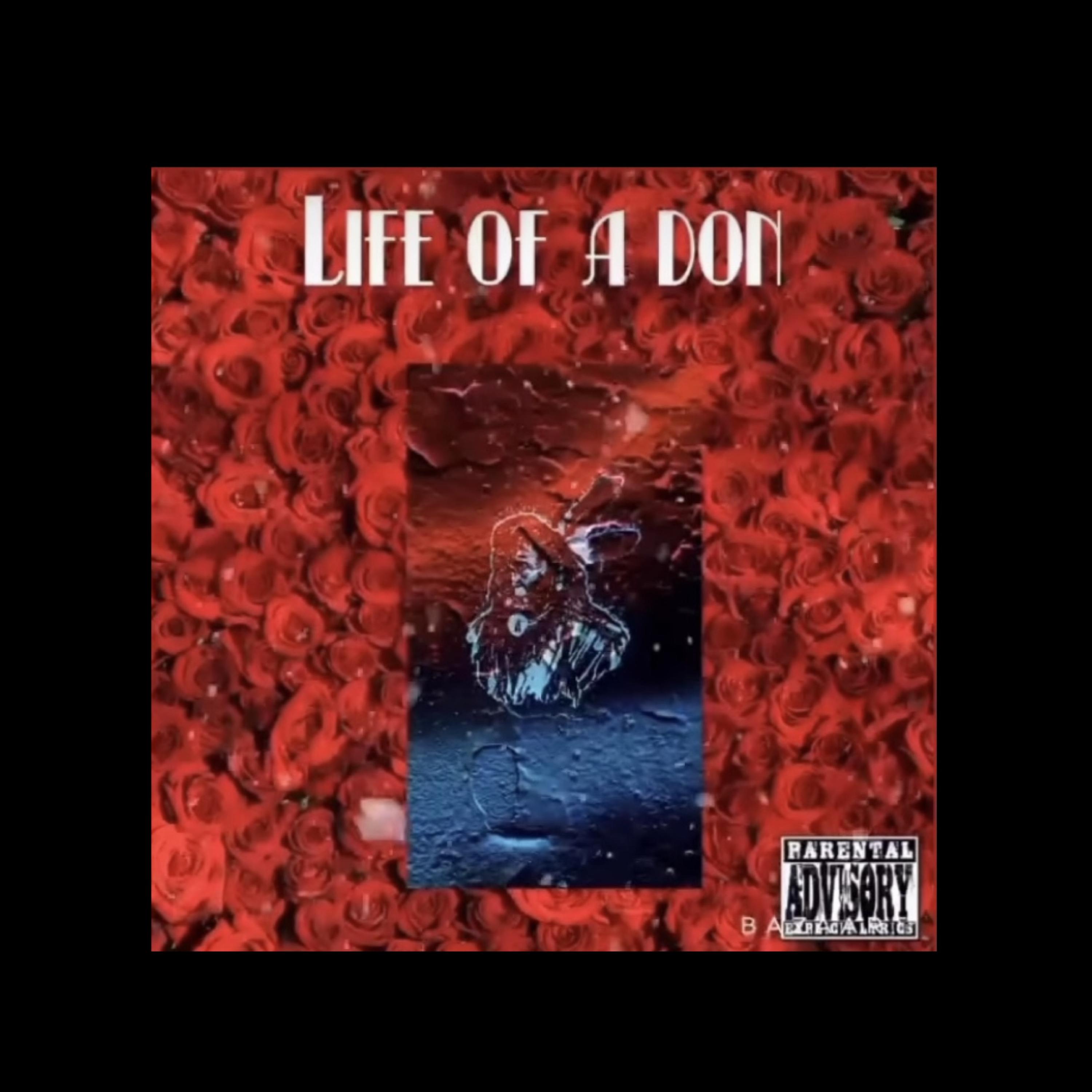 Life Of A Don artwork