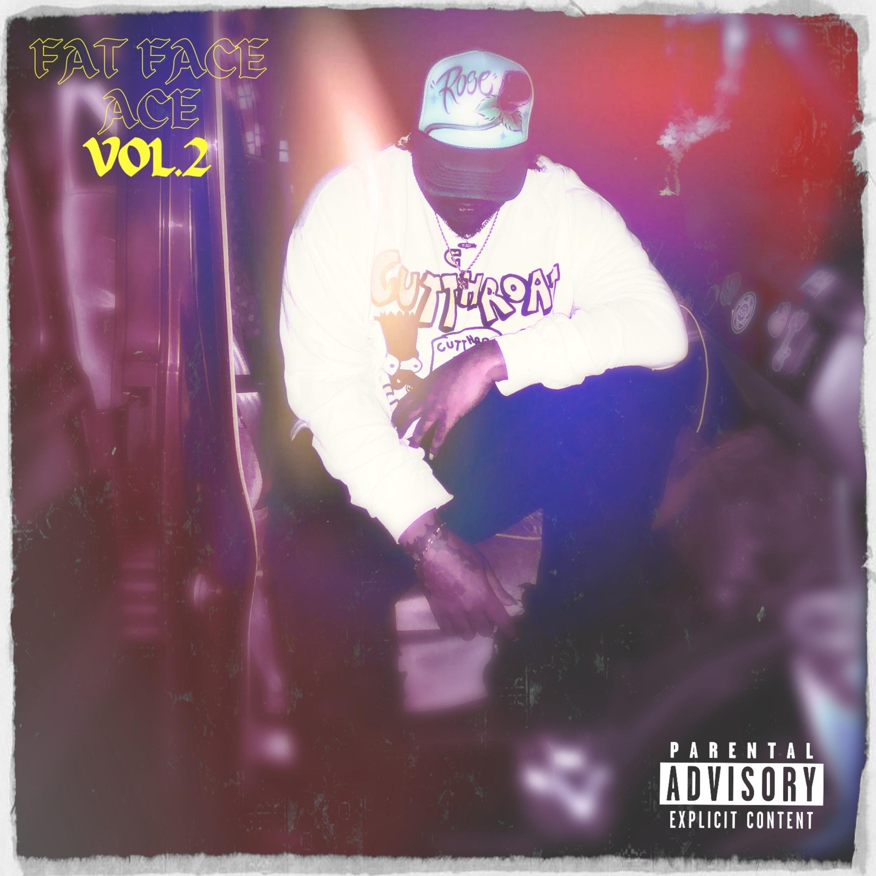 FAT FACE ACE VOL.2 artwork