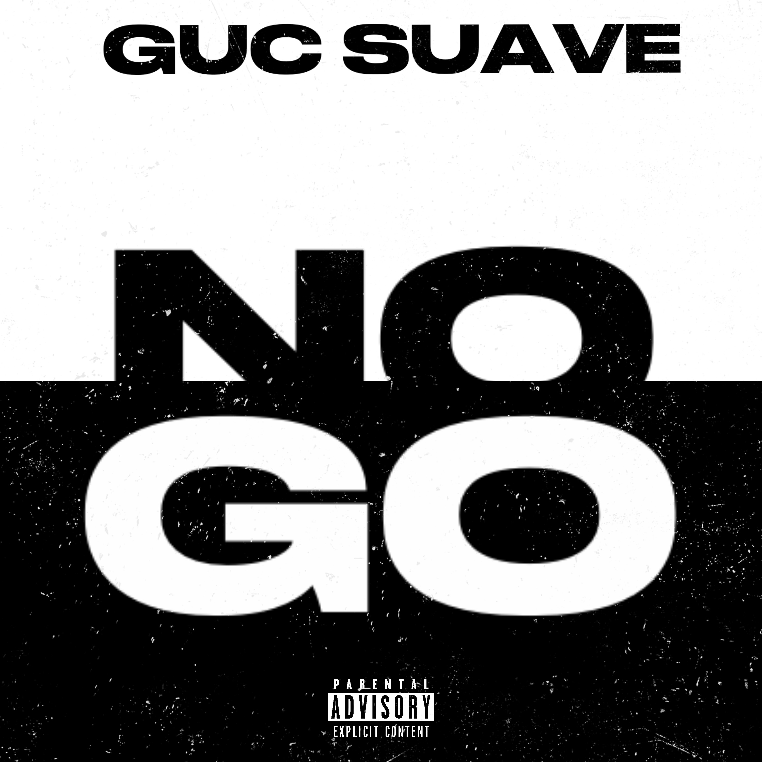 NO GO artwork