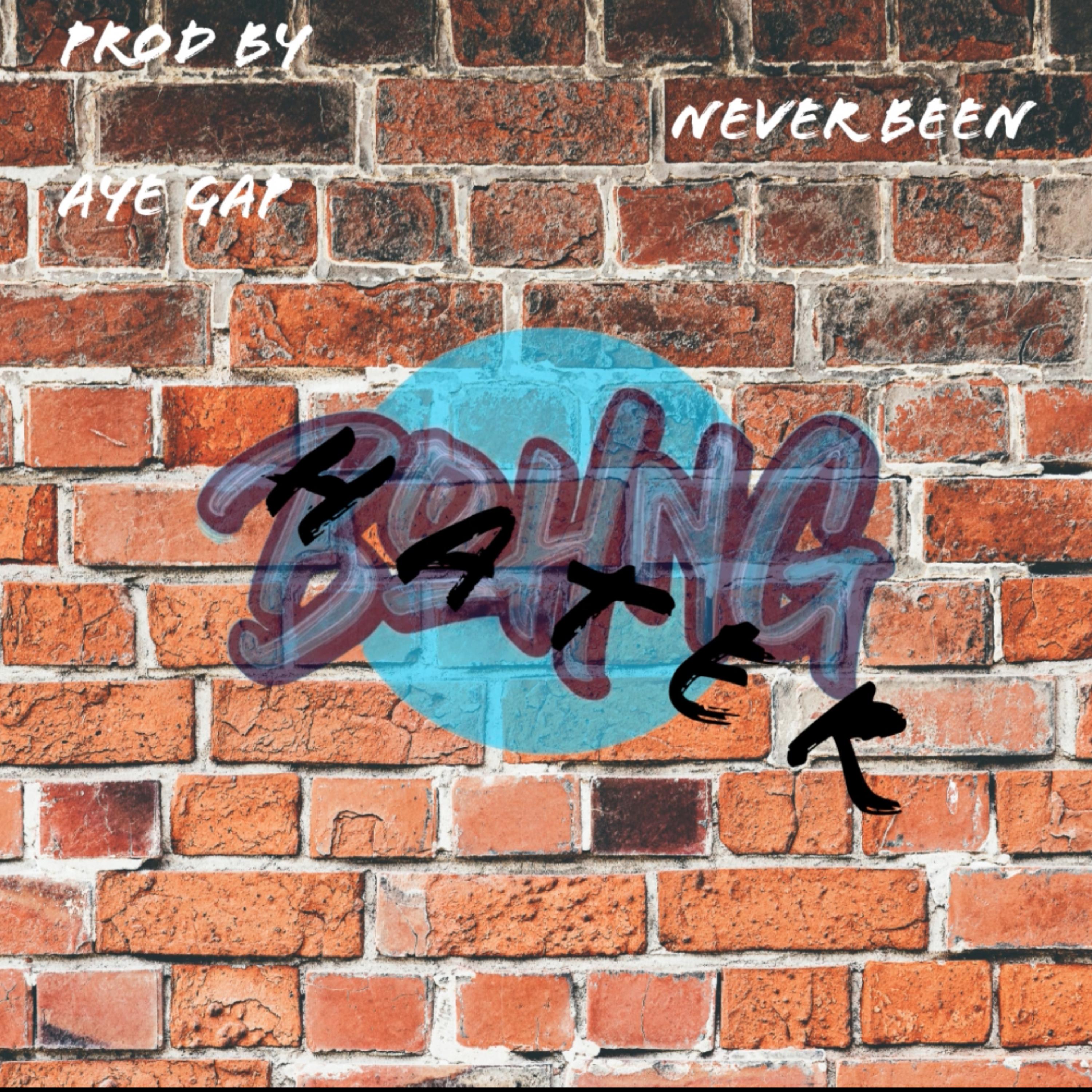 Never Been A Hater artwork