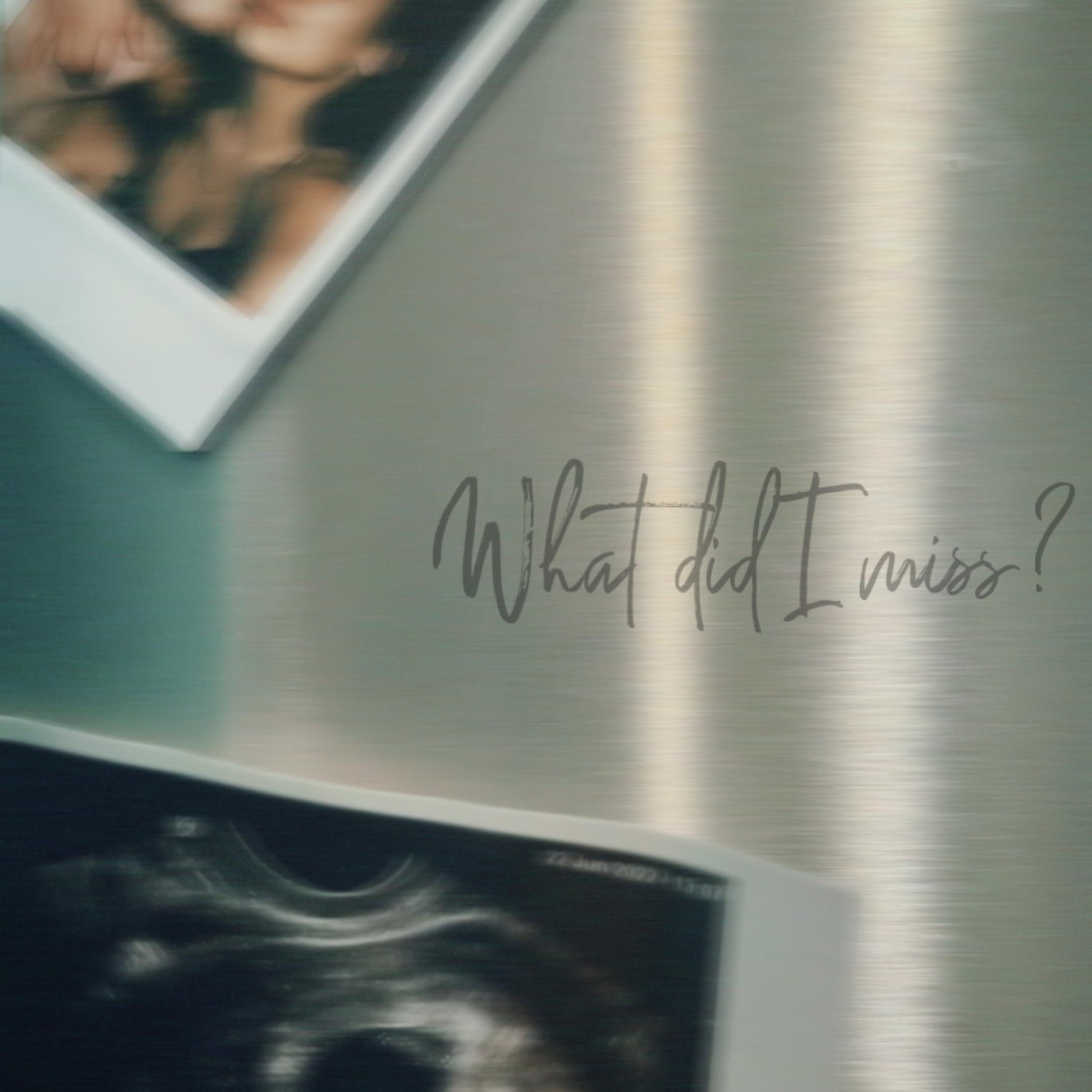 What Did I Miss? artwork