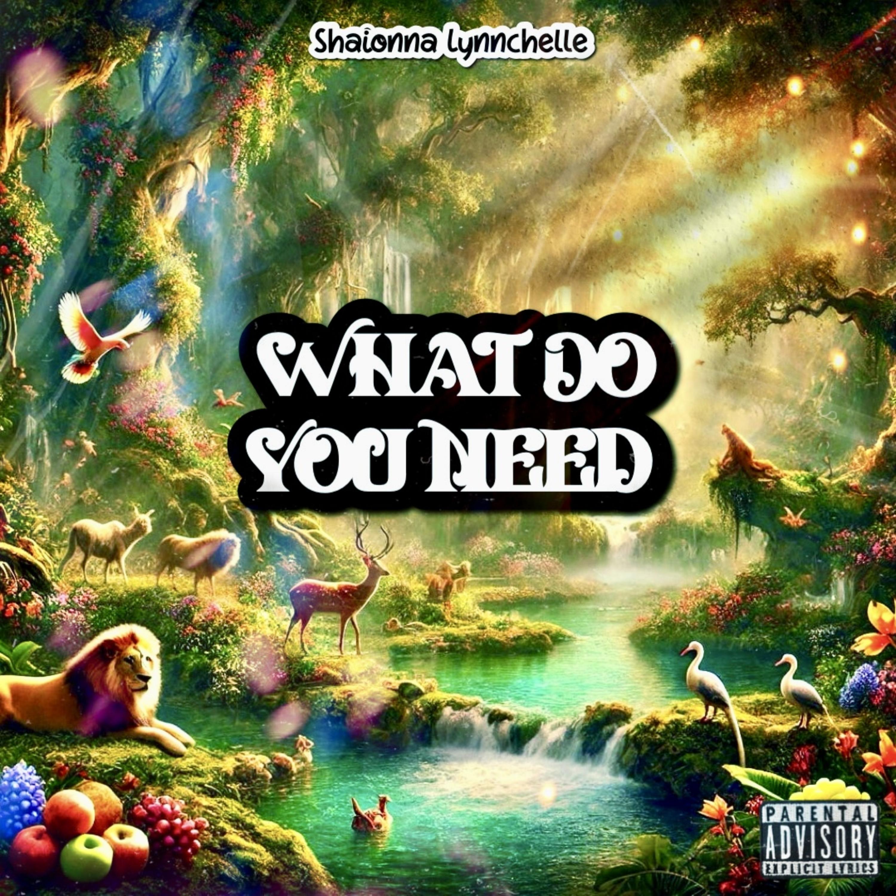 What Do You Need artwork