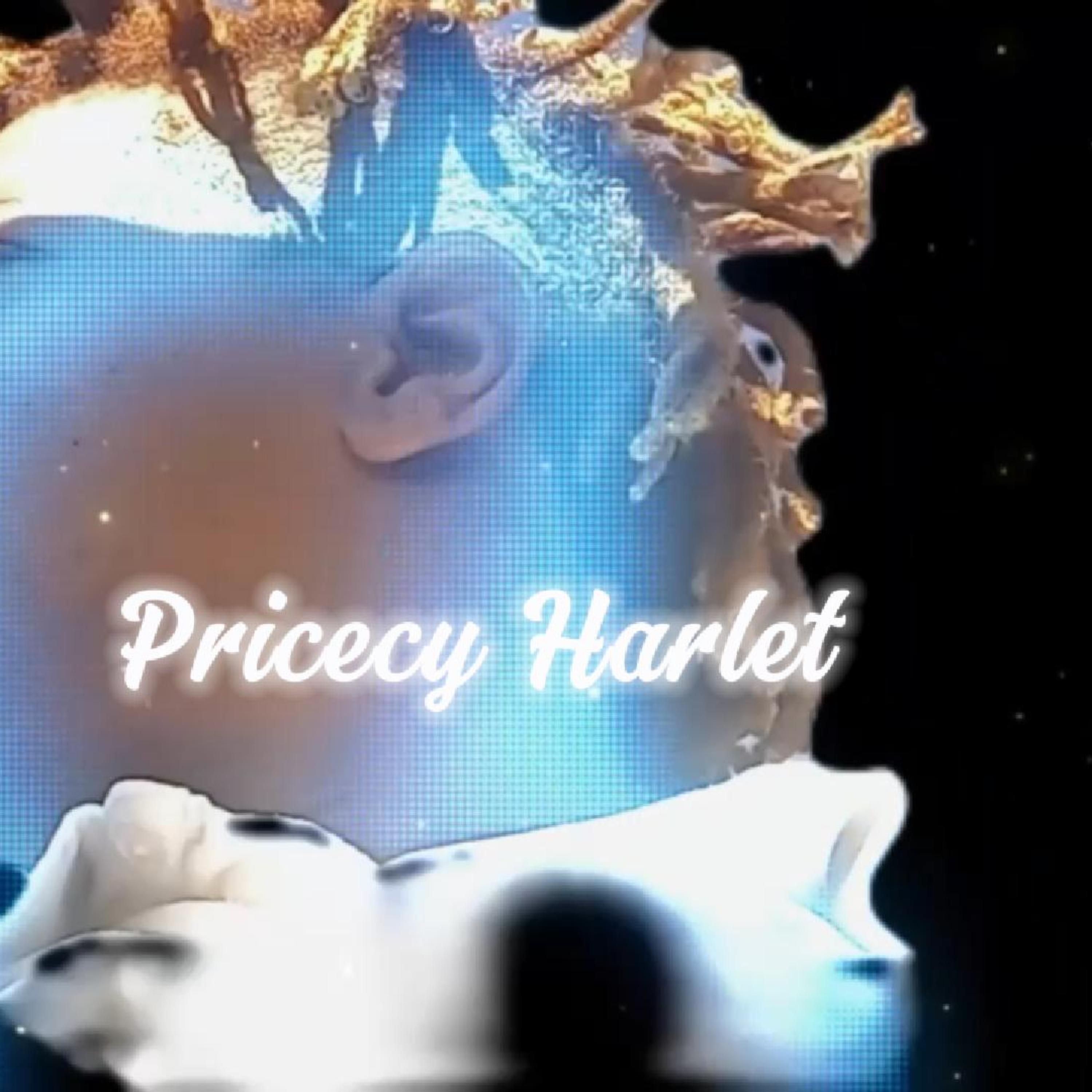 Pricecy Harlet artwork