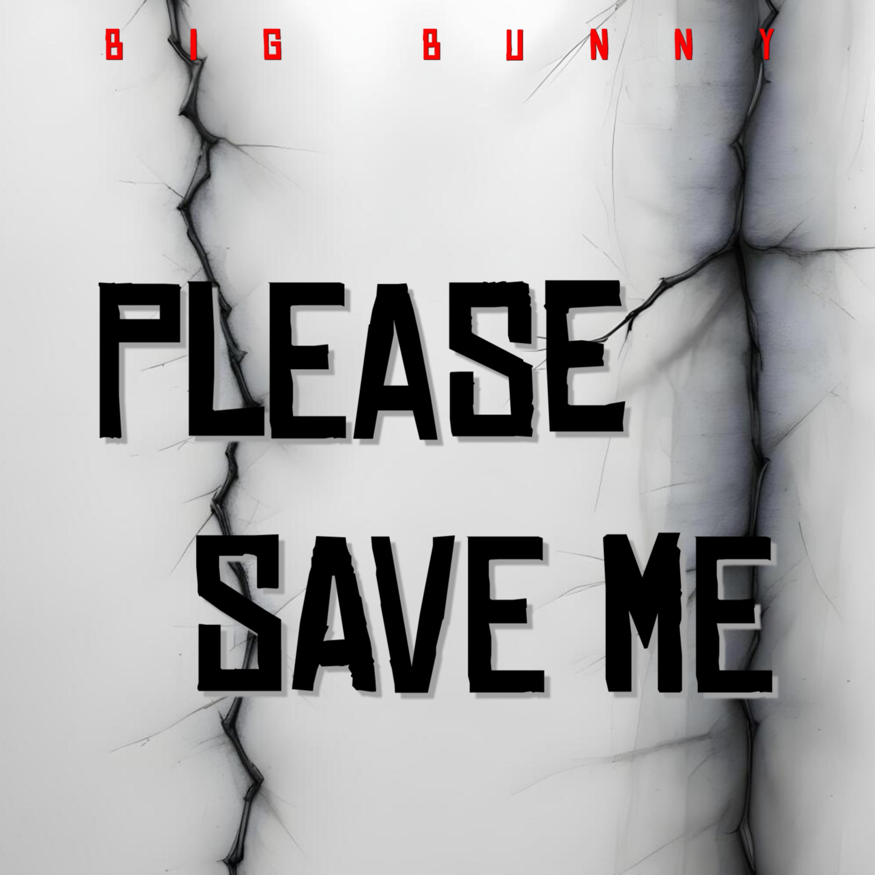 Please Save Me artwork