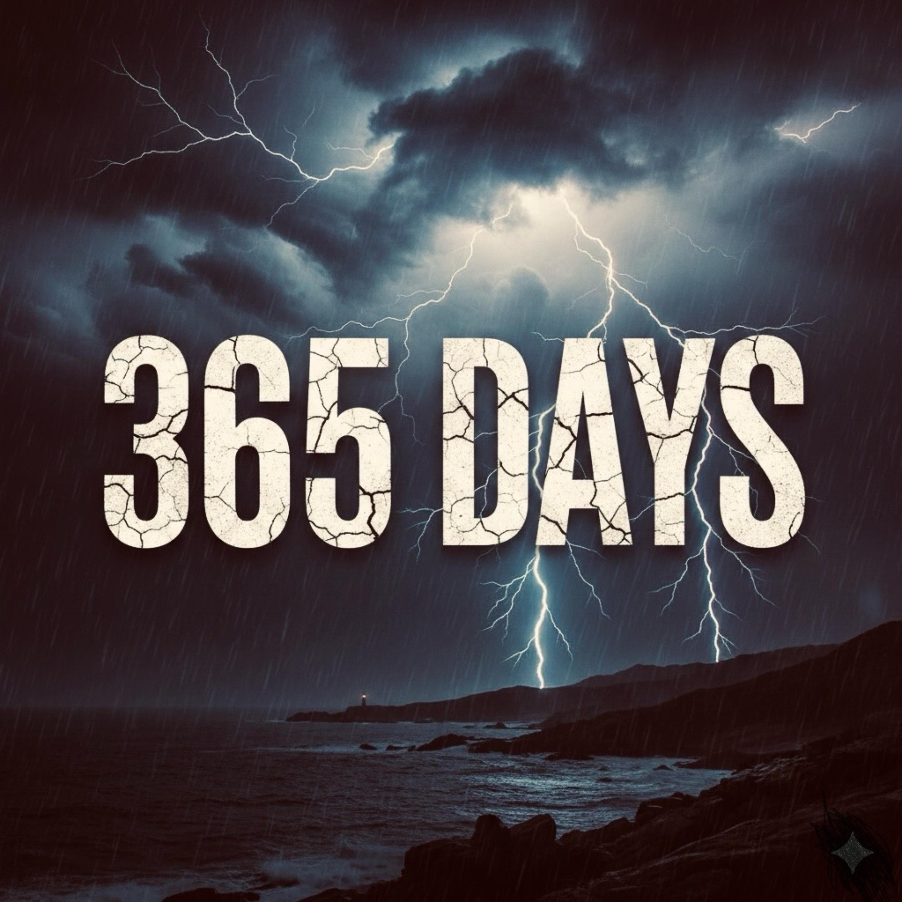 365 Days artwork