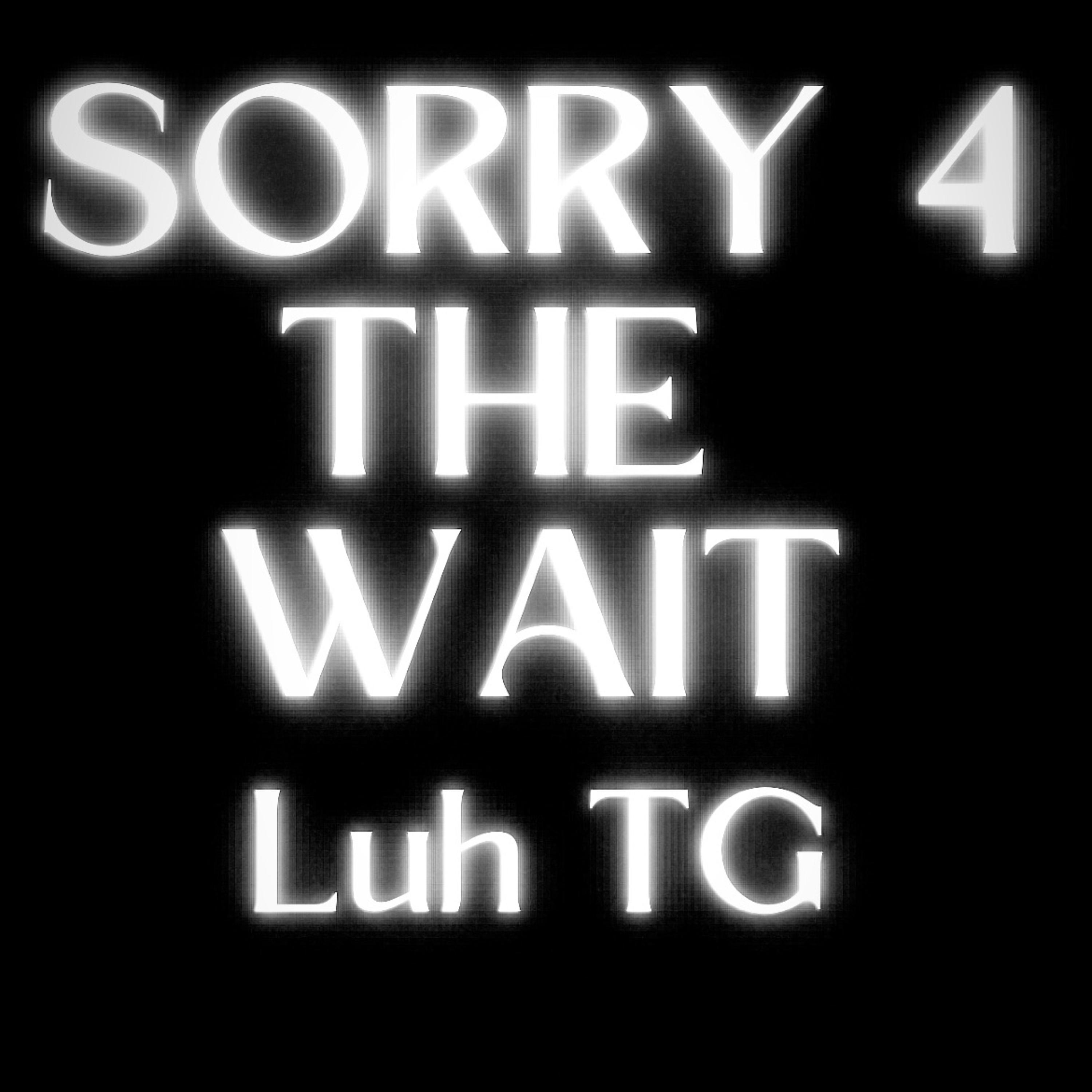 SORRY 4 THE WAIT artwork