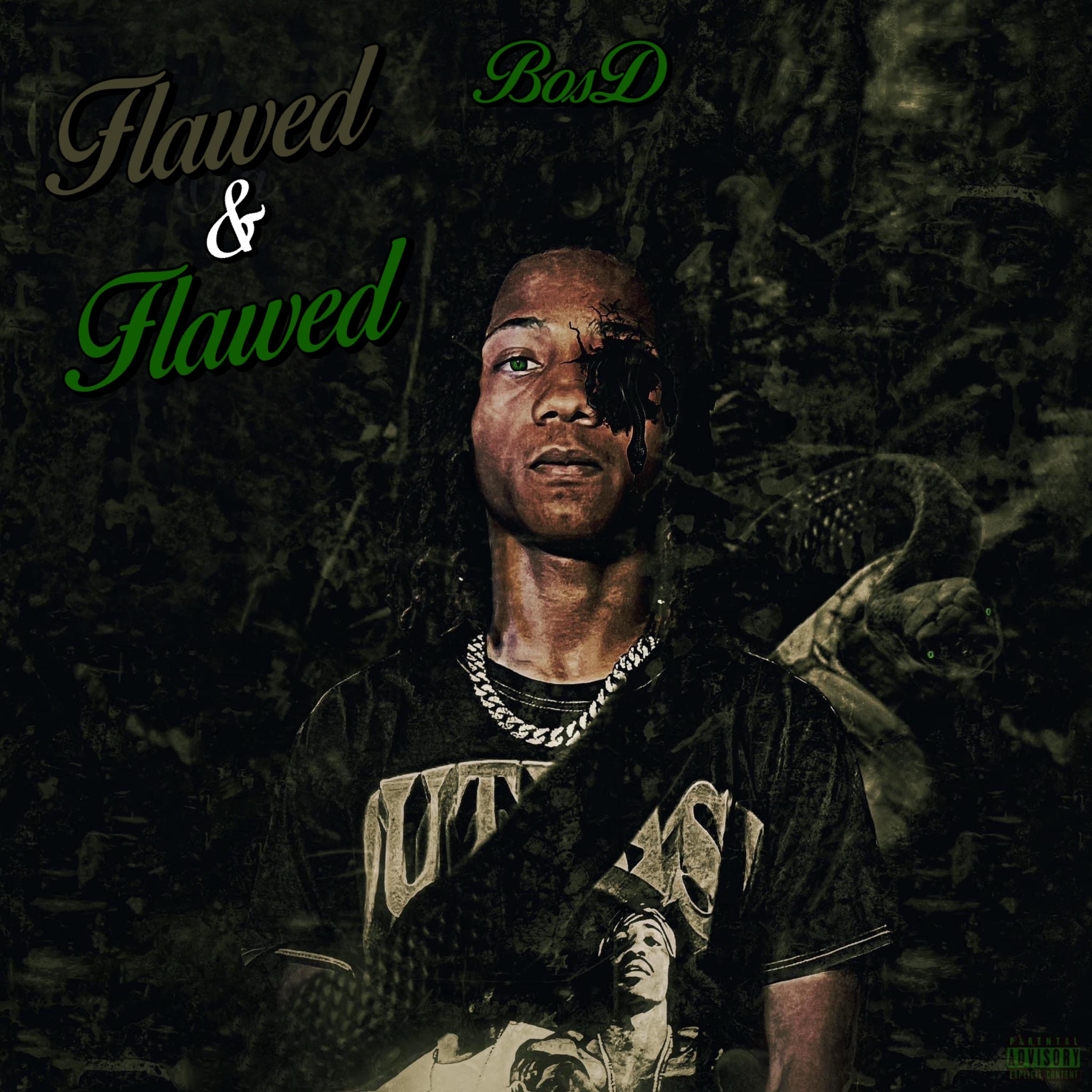 Flawed & Flawed artwork