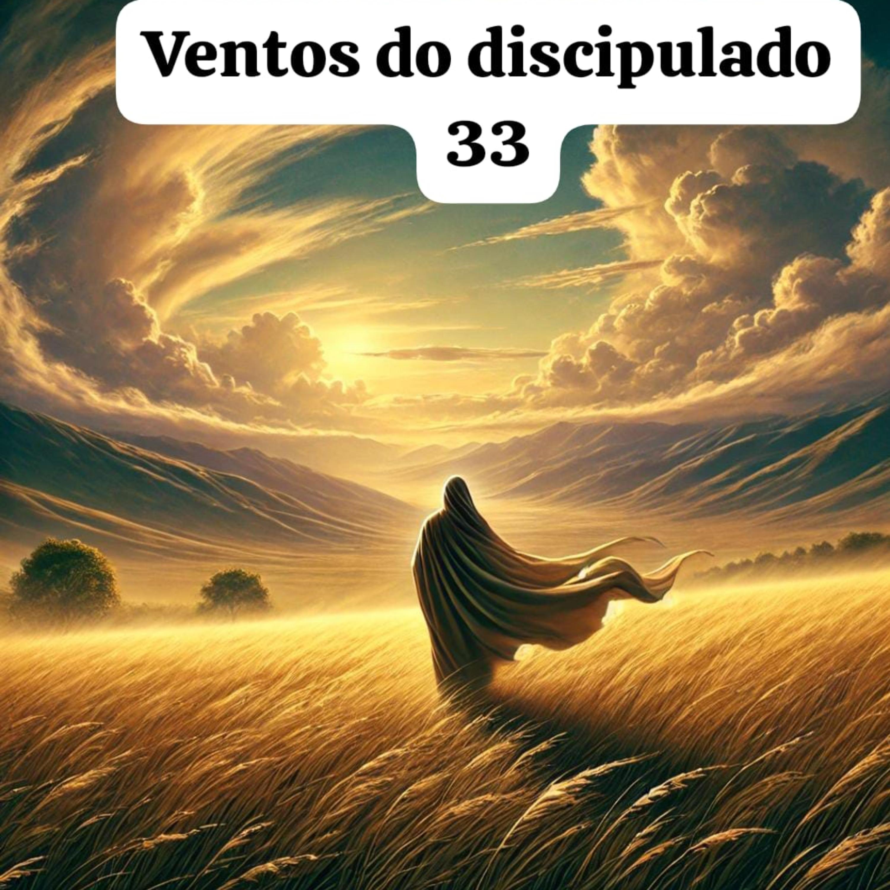 Ventos do discipulado 33 artwork