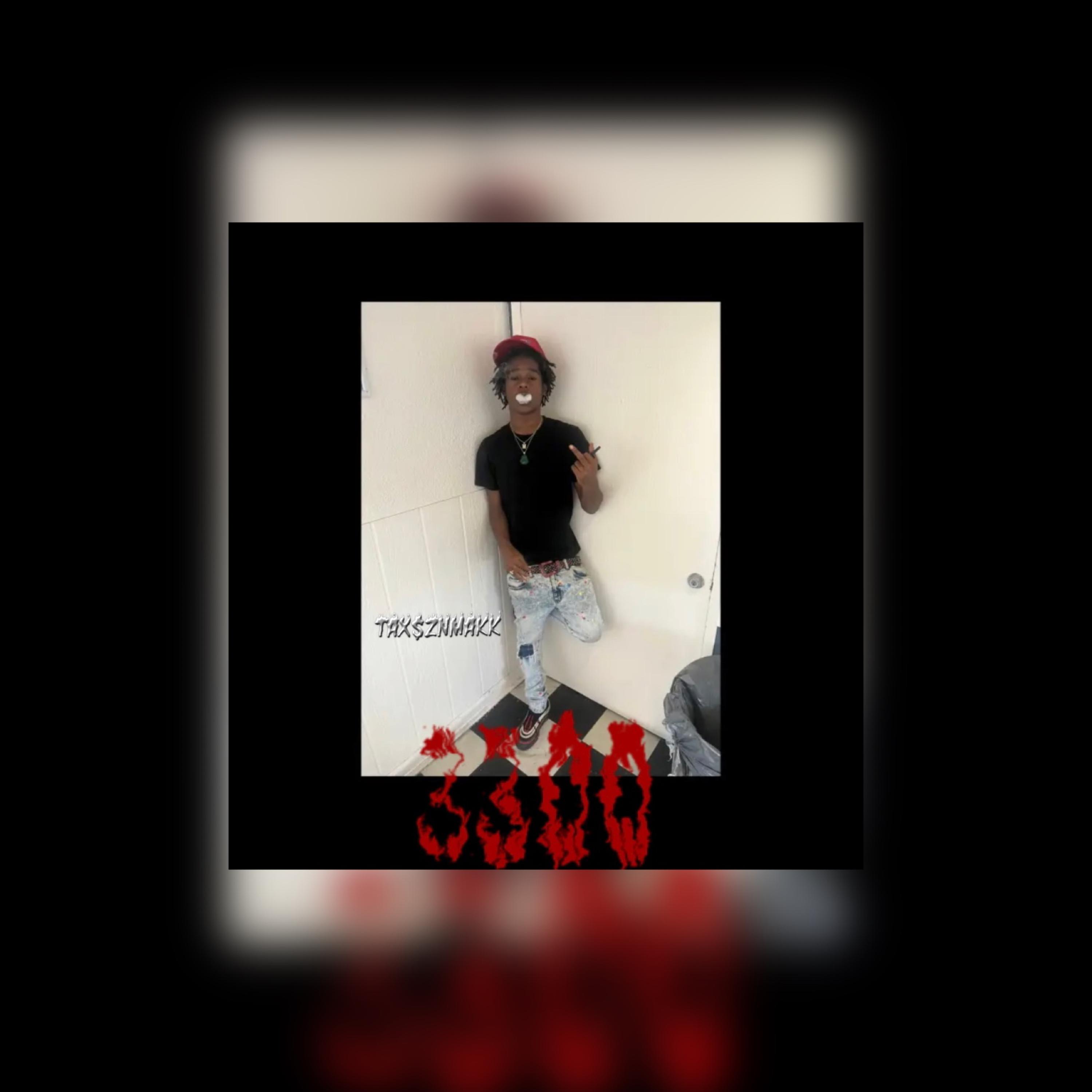 3300 artwork