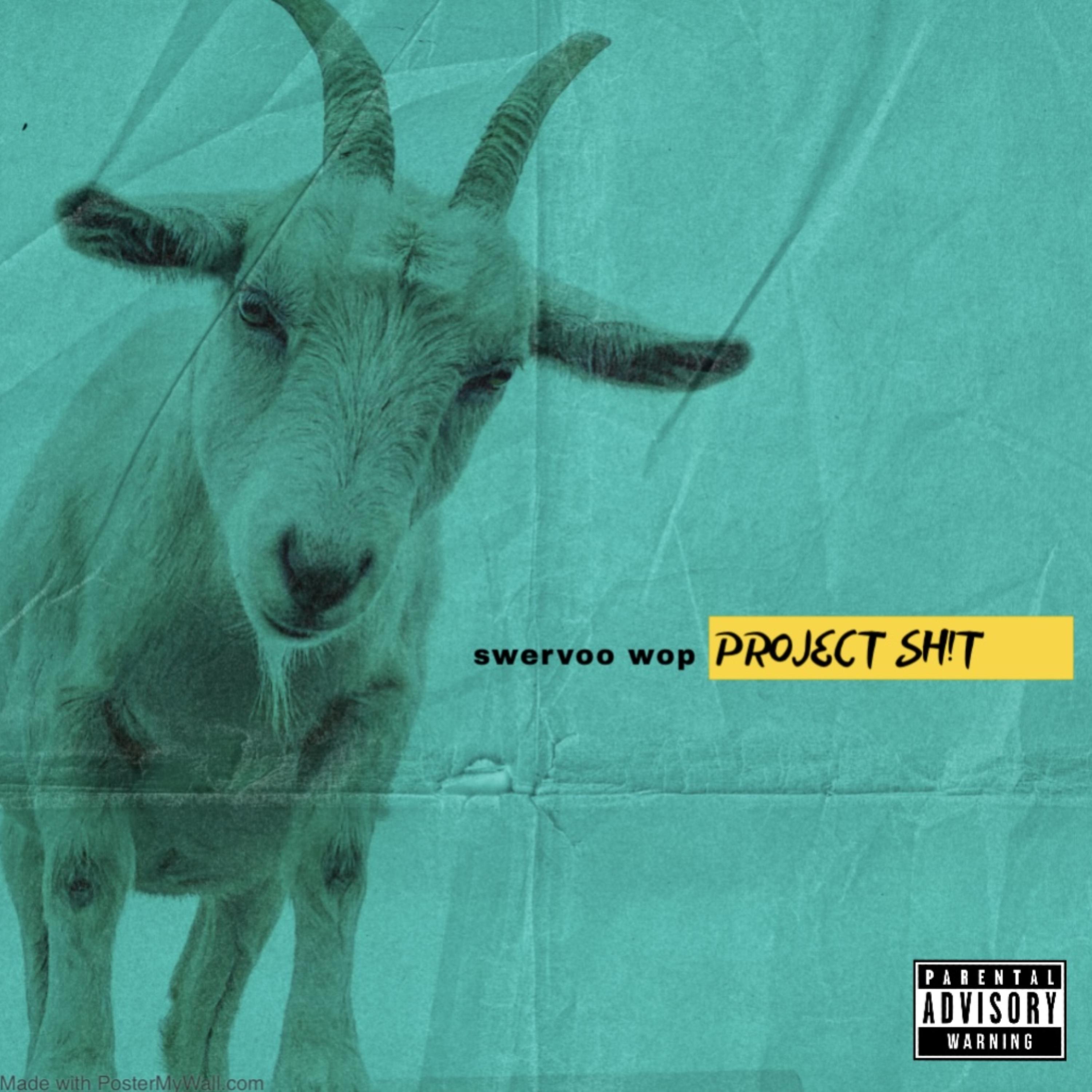 Project Sh!t by Swervoo Wop cover art