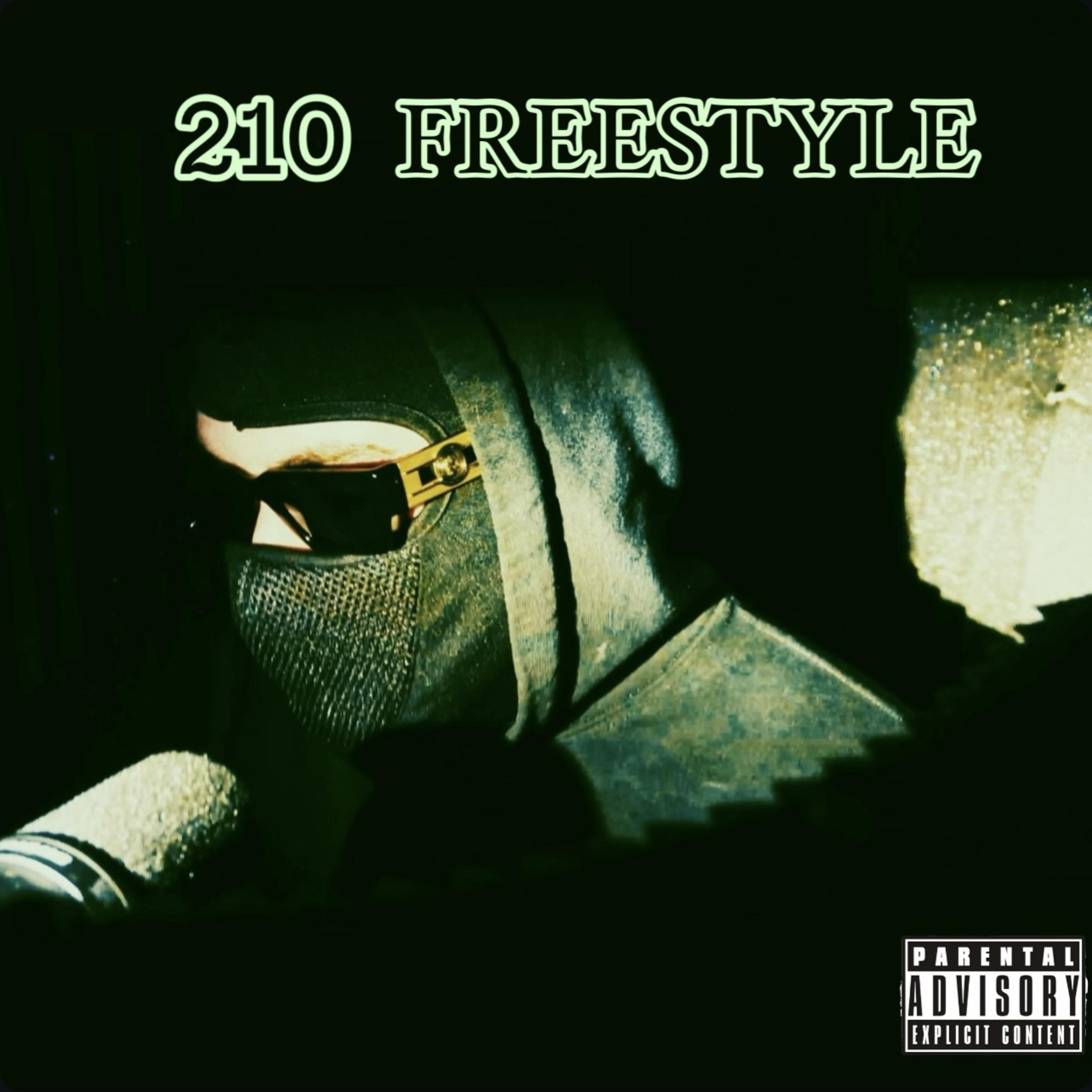 210 Freestyle artwork
