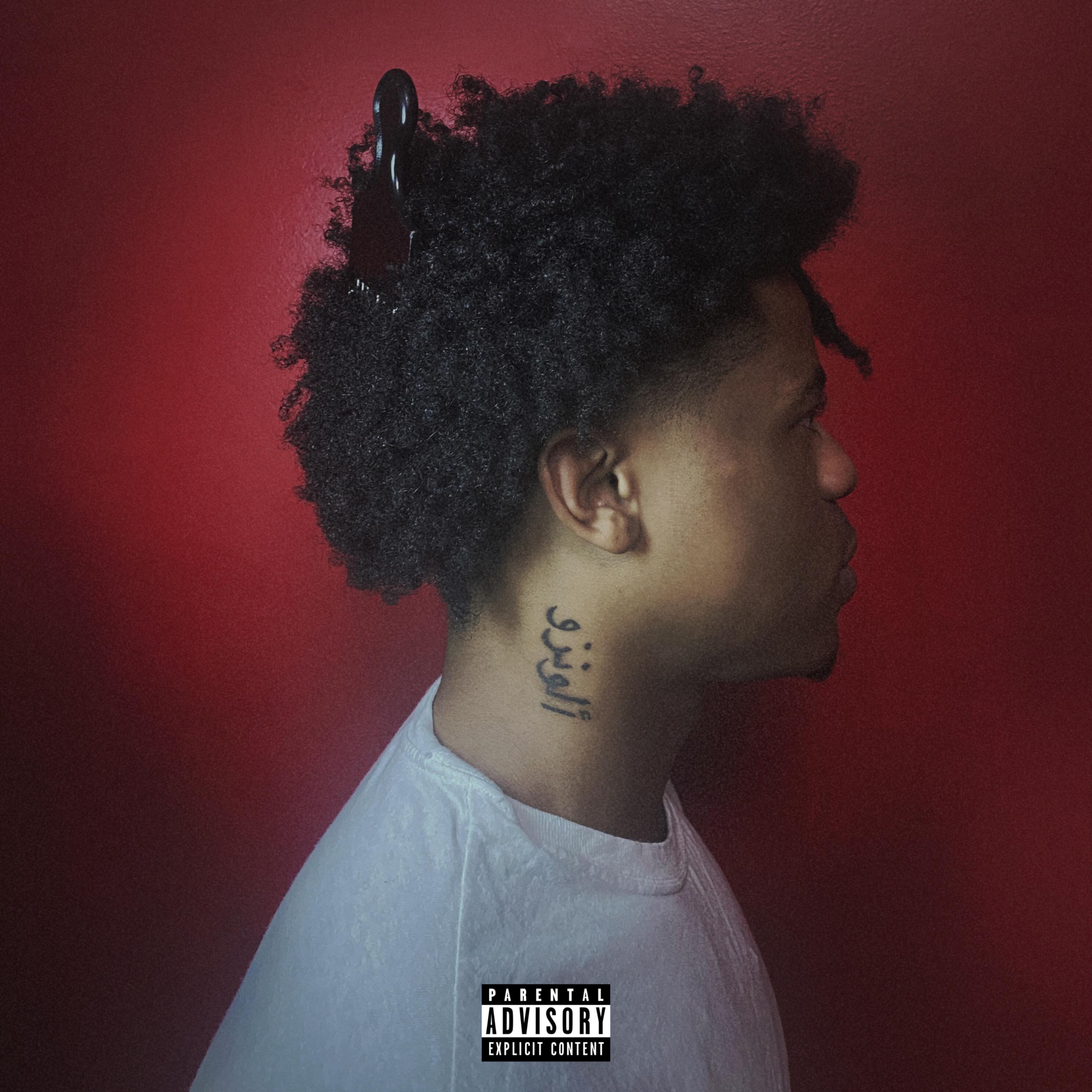 DAYS IN THE LIFE artwork