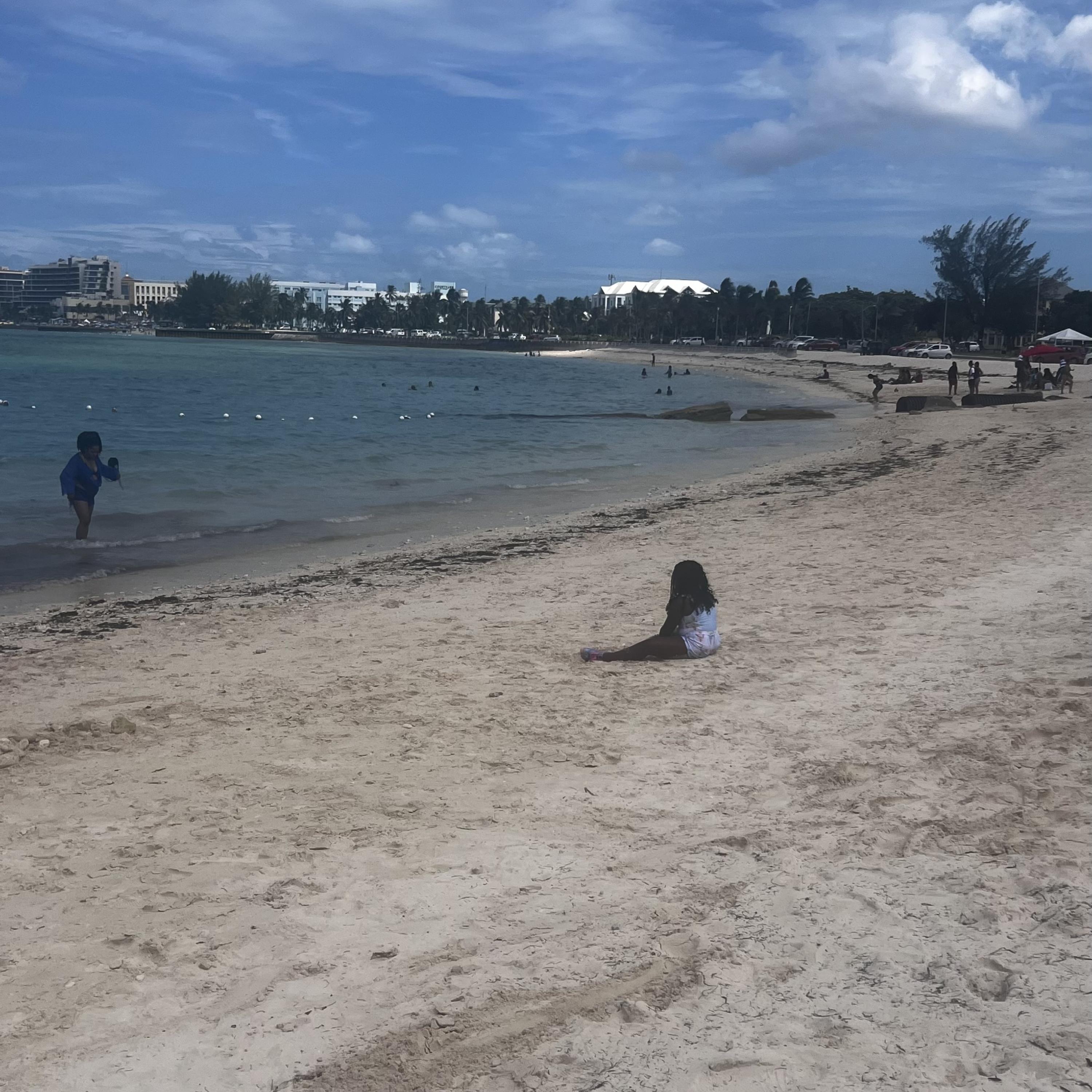 Sharky Summer artwork