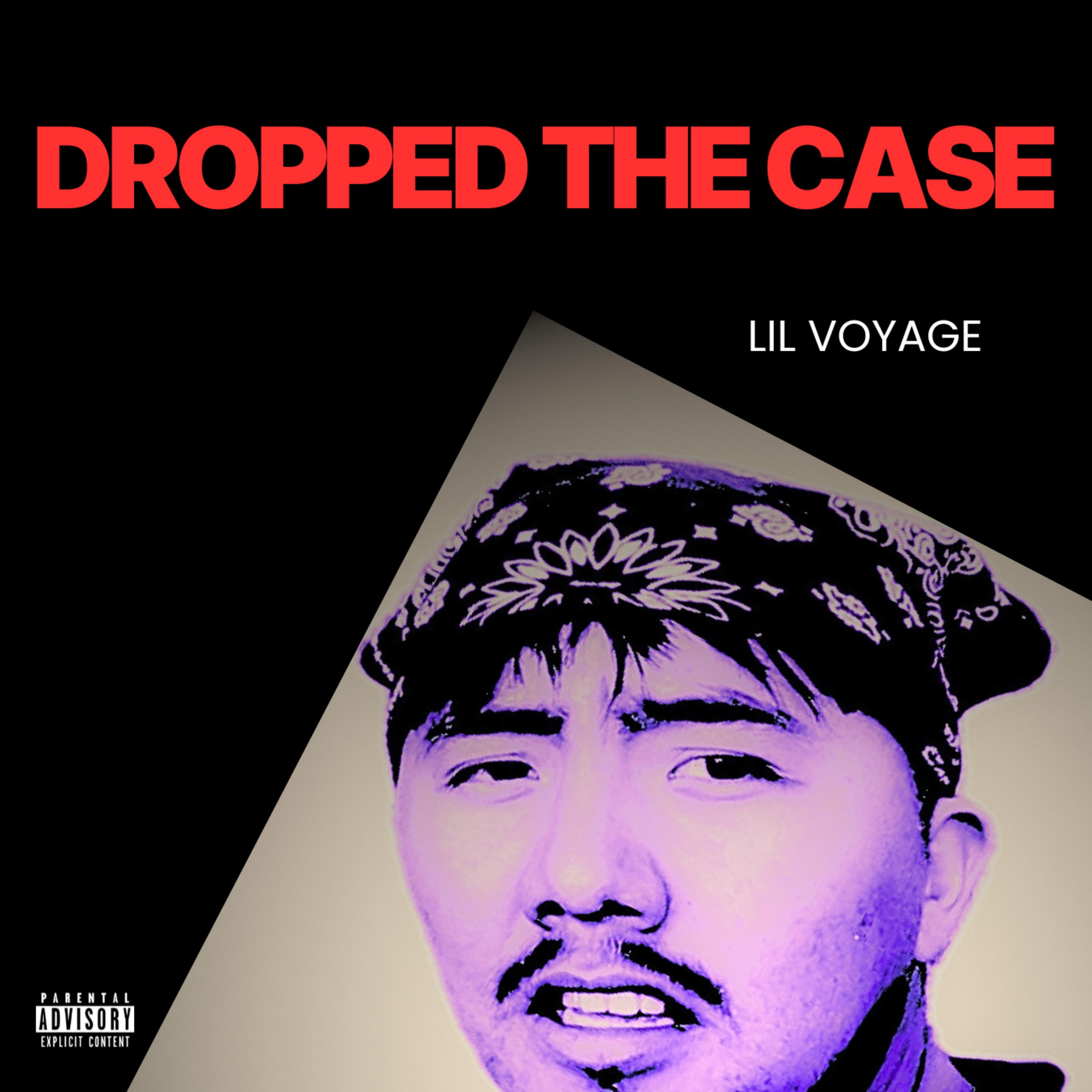 Dropped The Case artwork
