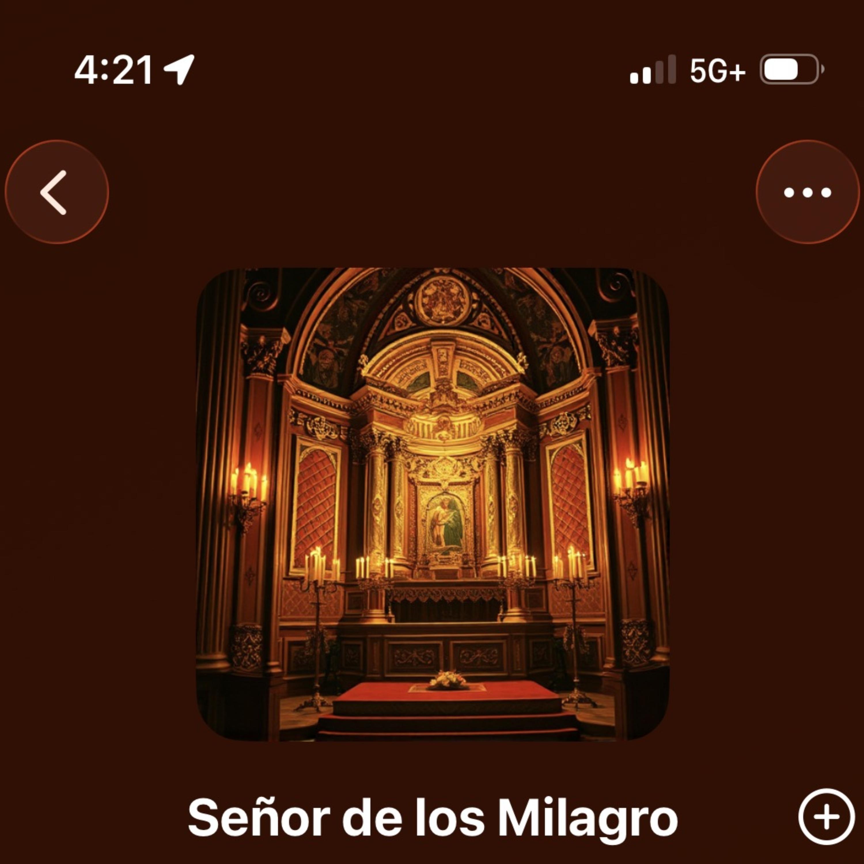 Senor De Los Milagros artwork