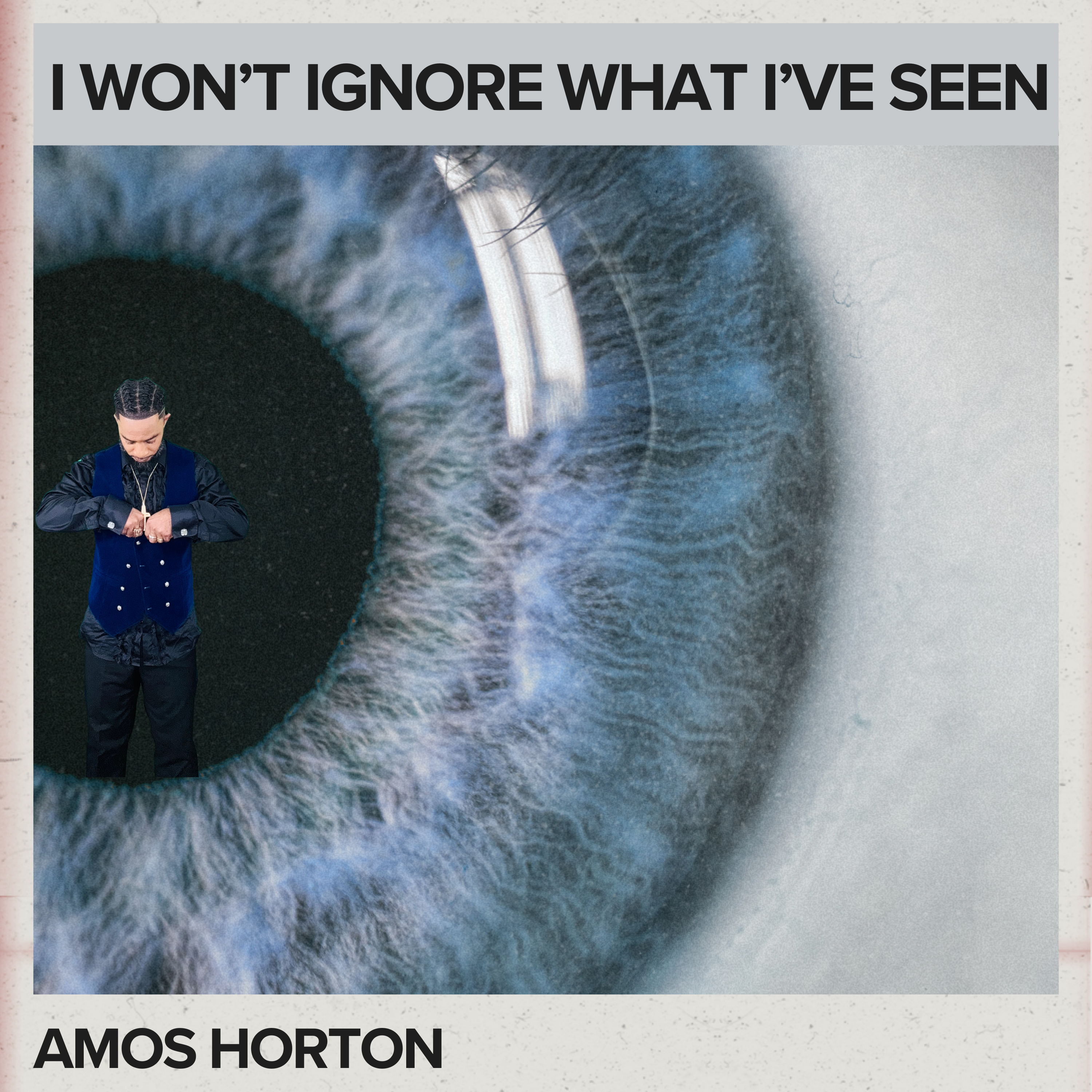 I WON’T IGNORE WHAT I’VE SEEN artwork