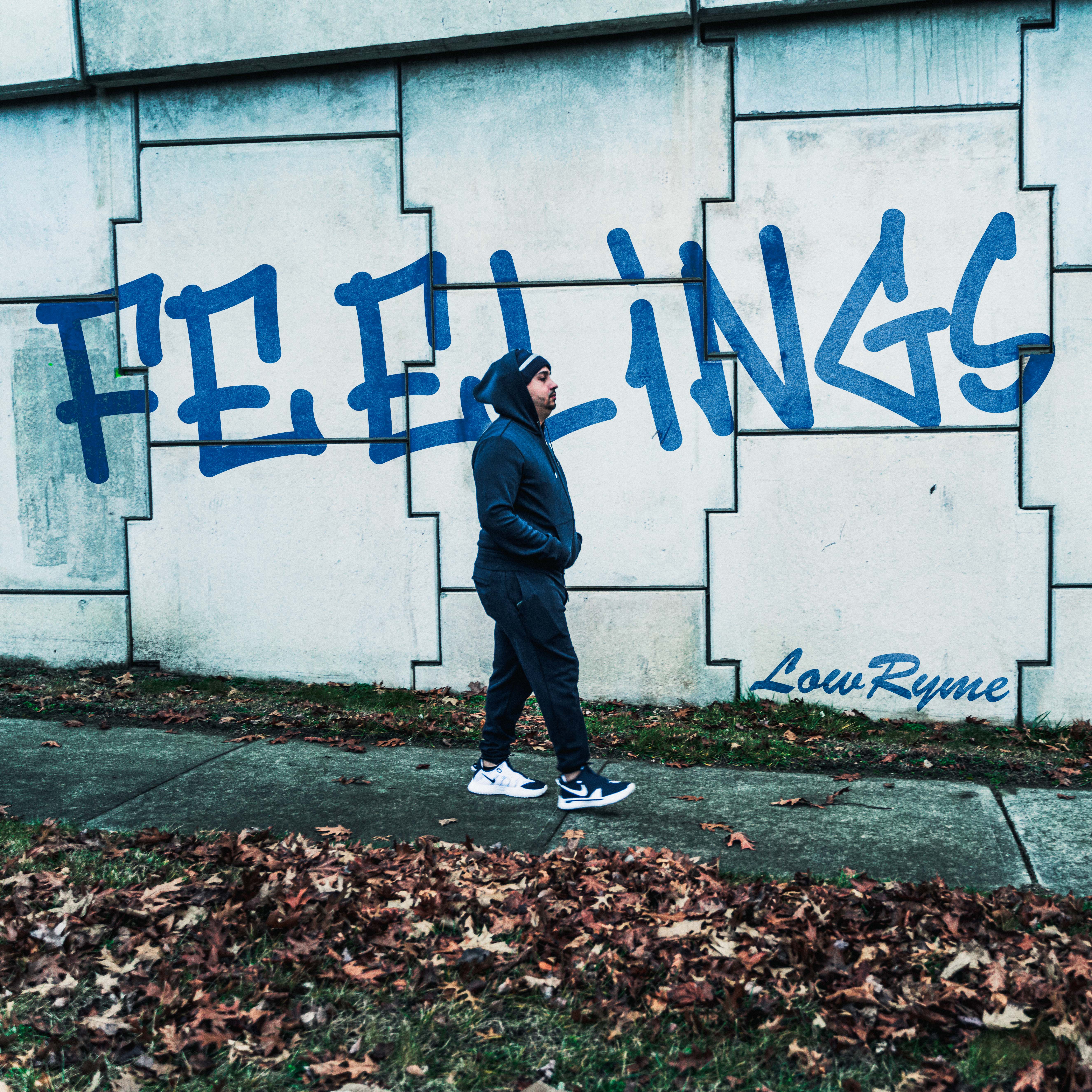 FEELINGS artwork