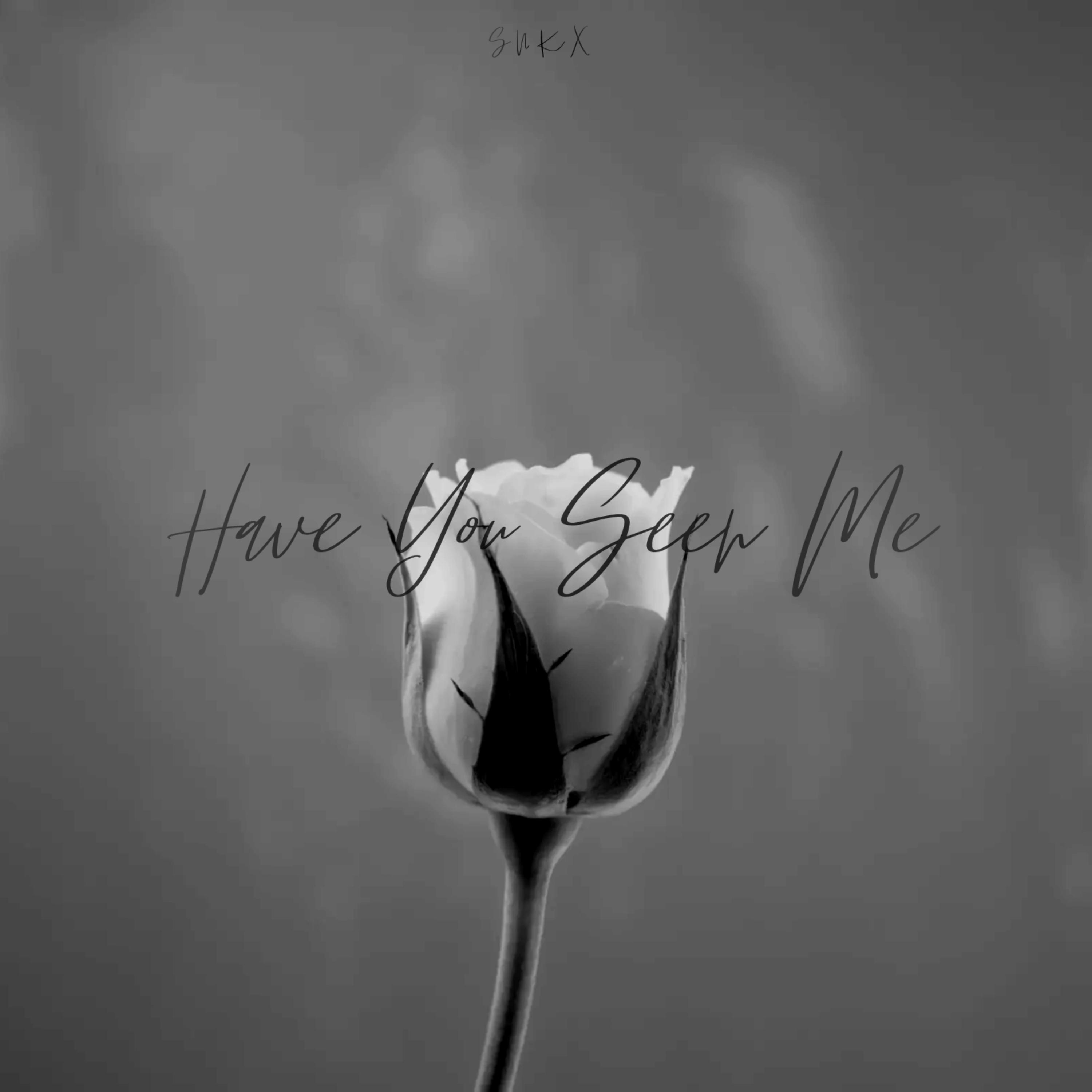 Have You Seen Me artwork