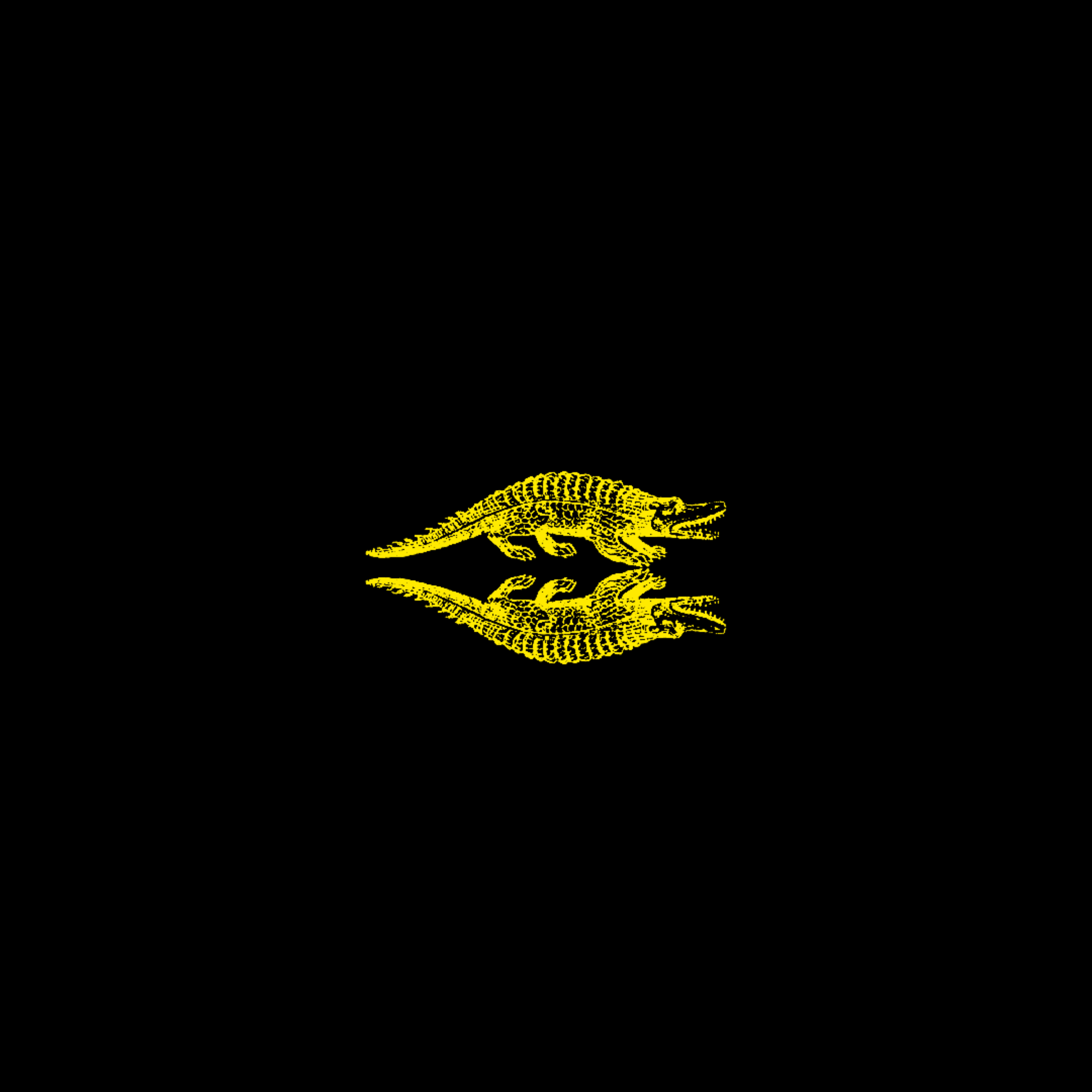 Croco bro artwork