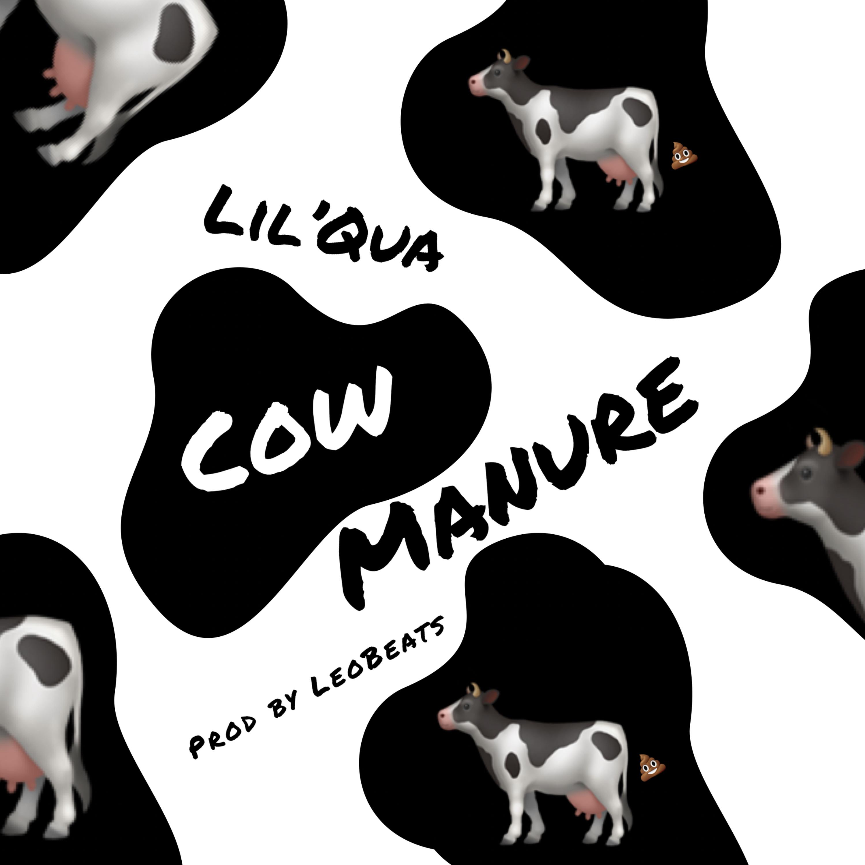 Cow Manure artwork