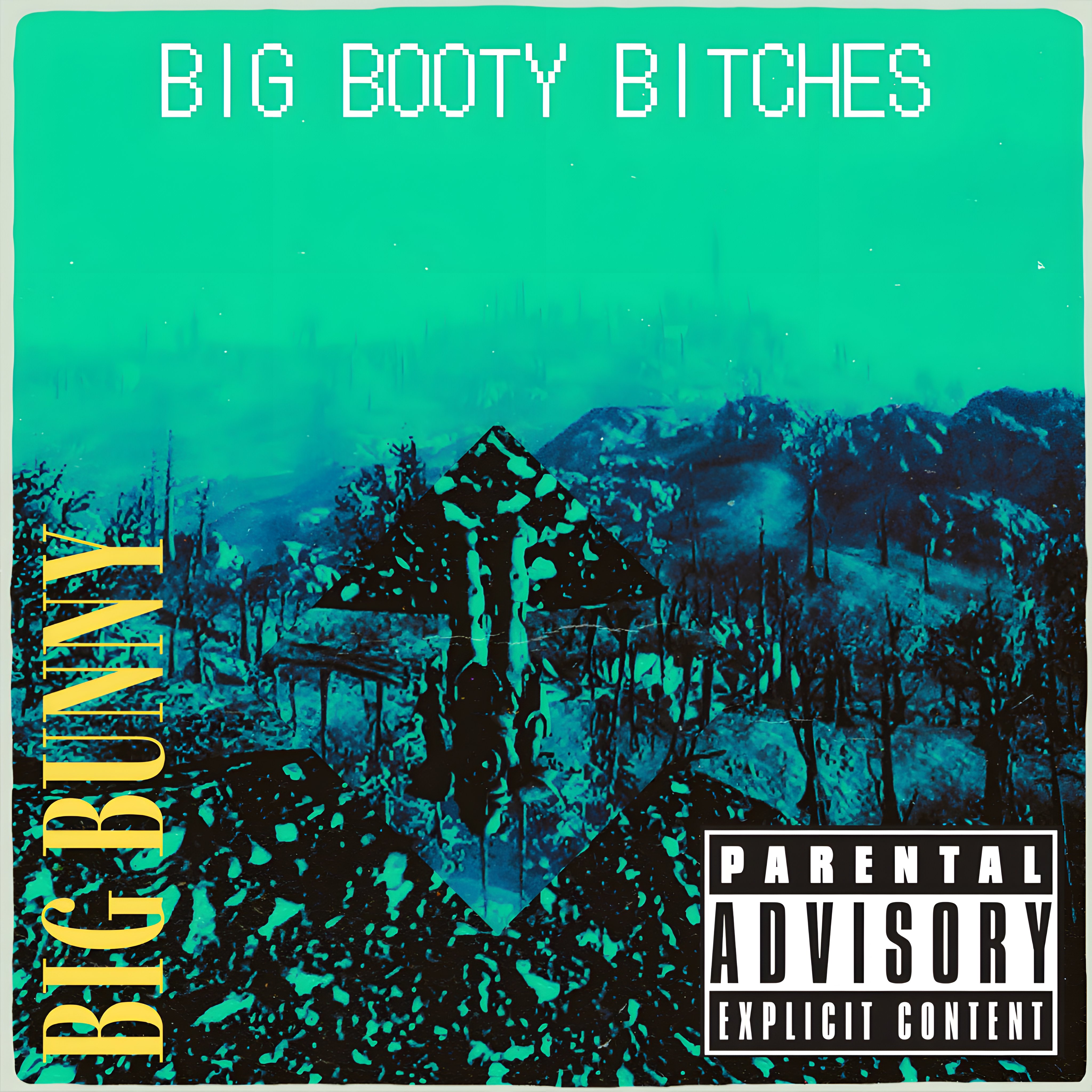Big Booty Bitches artwork