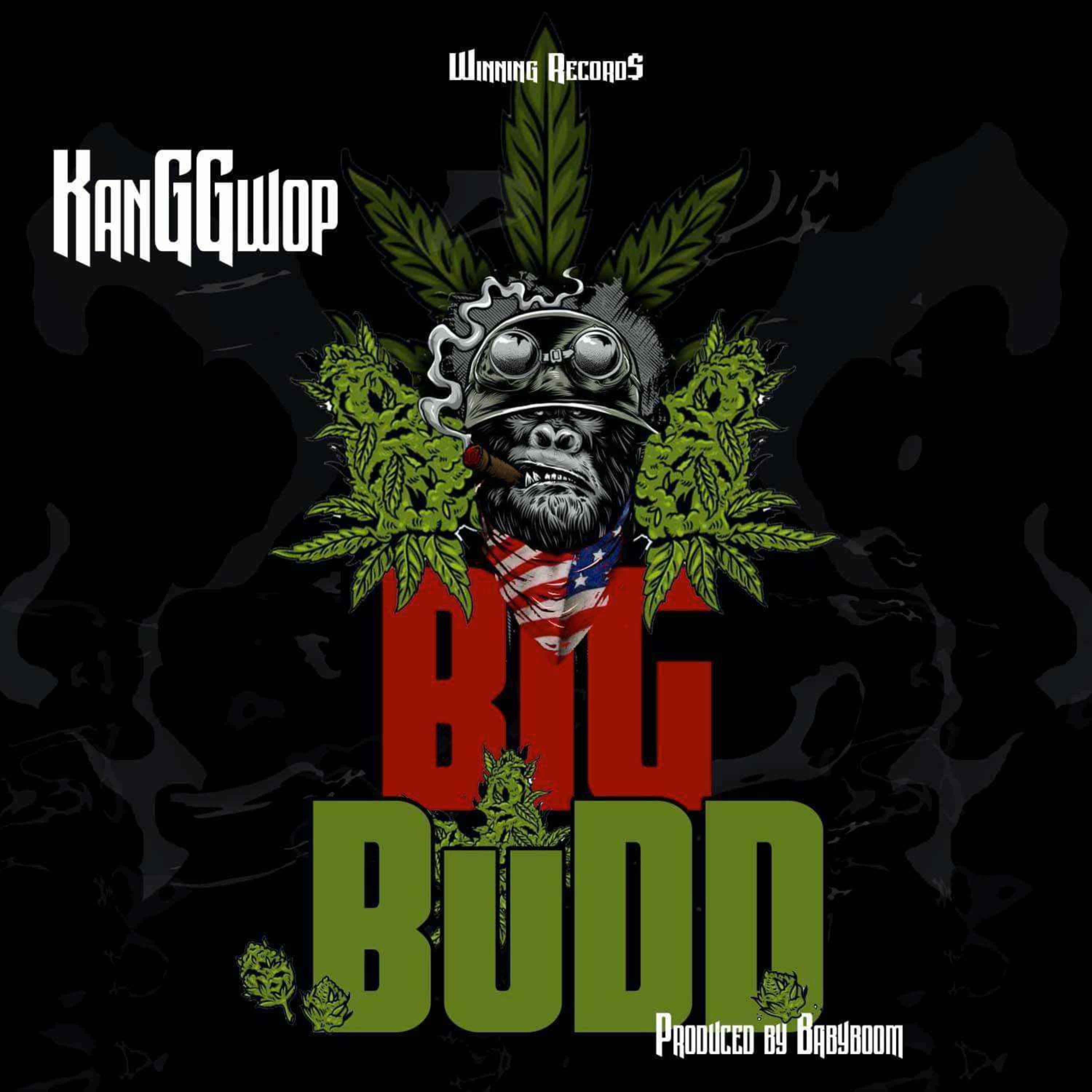 BiG BuDD ( bonus track edition)* artwork