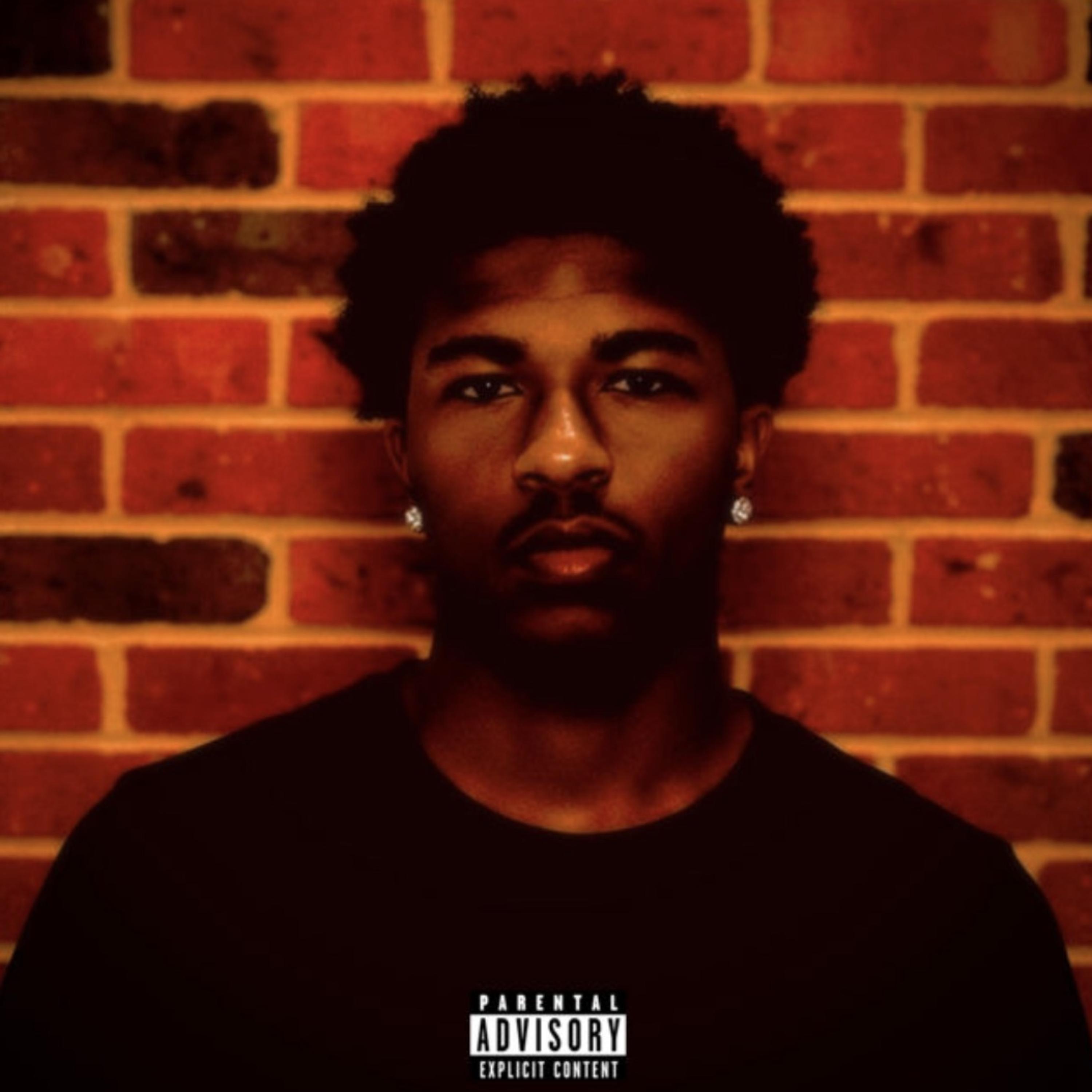 DOWN SOUTH BABY by BANX cover art