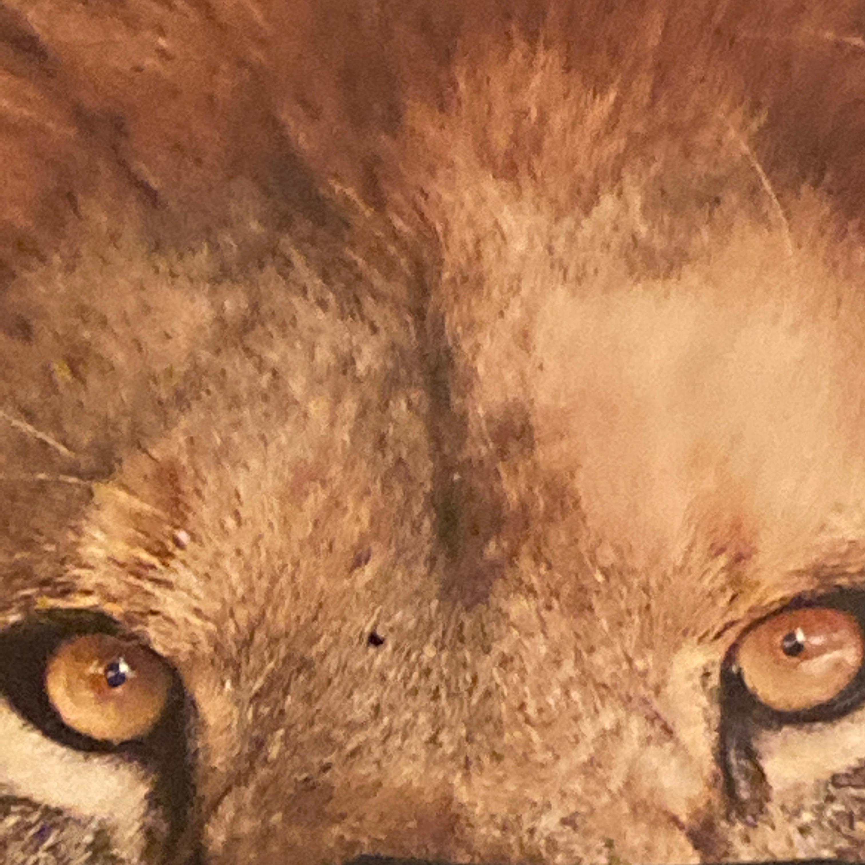 The Freestyle artwork