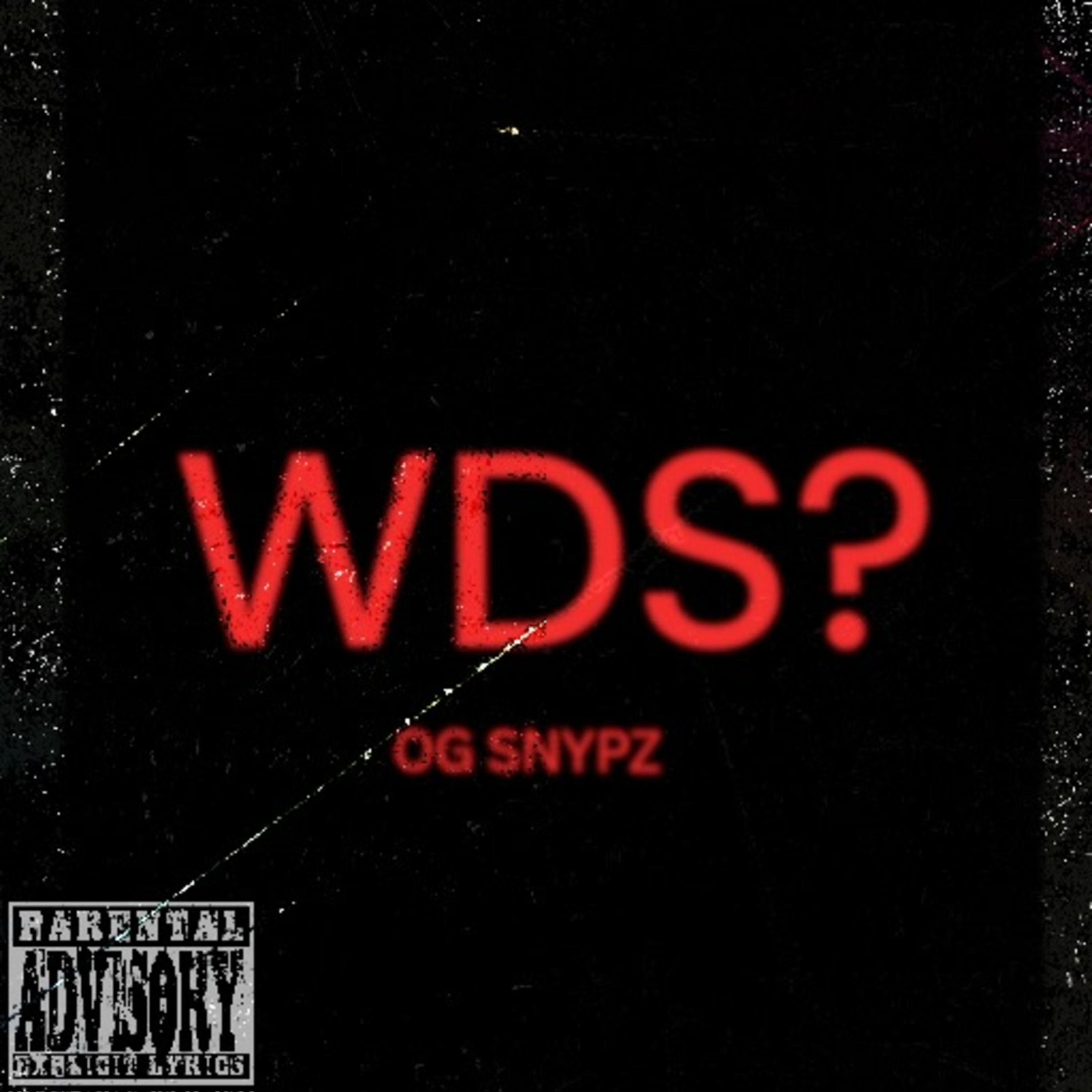WDS (Wetin Dey Sup) artwork