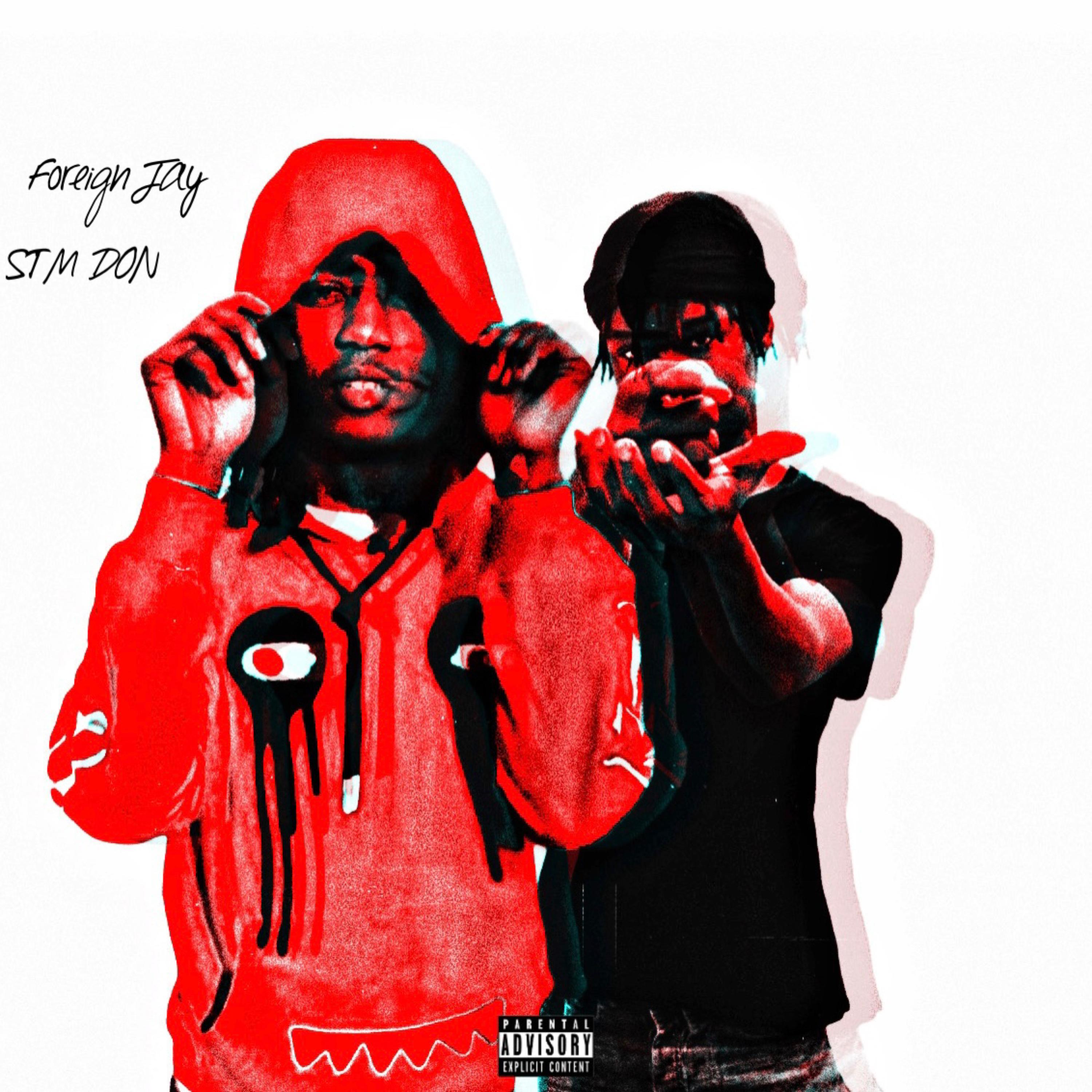 Plot by STM Don cover art