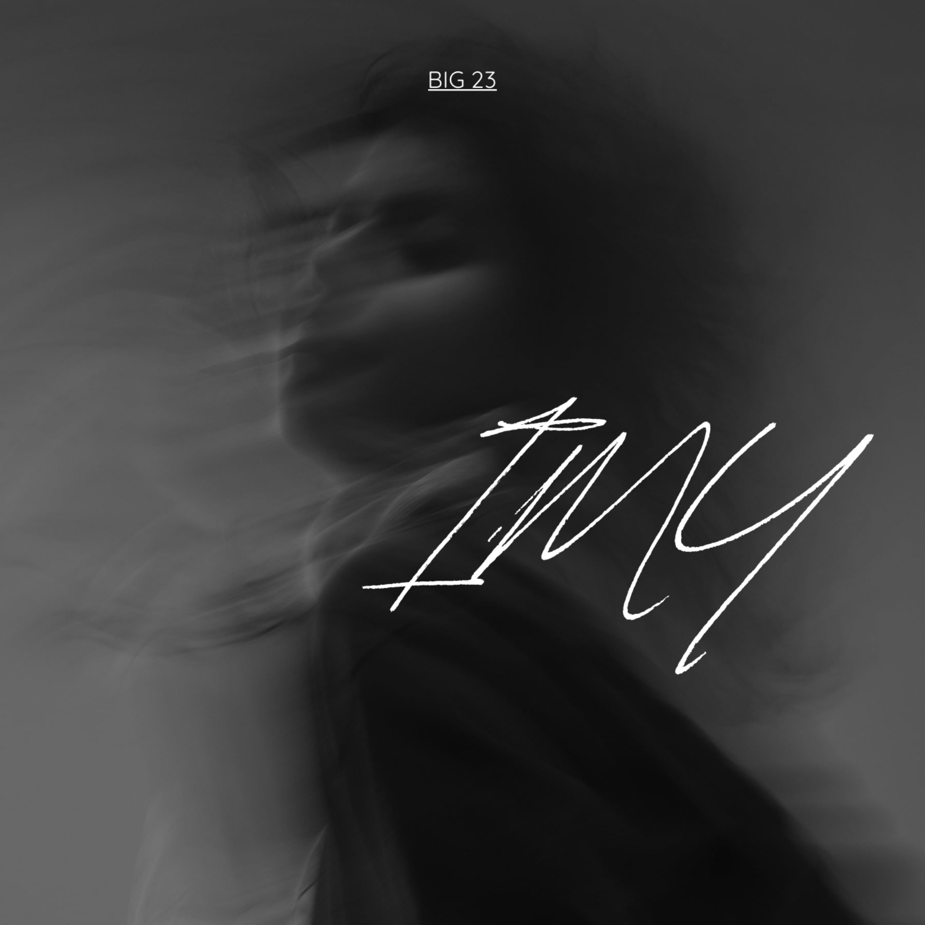 IMY by Big 23 cover art