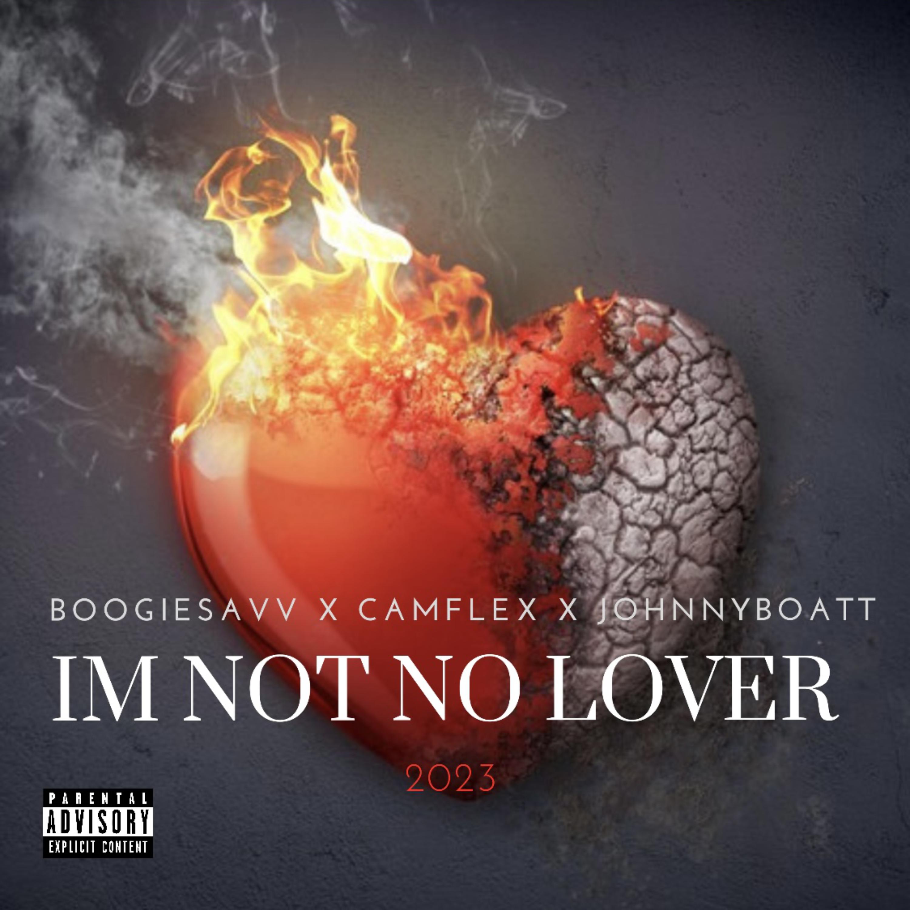 Im Not No Lover artwork