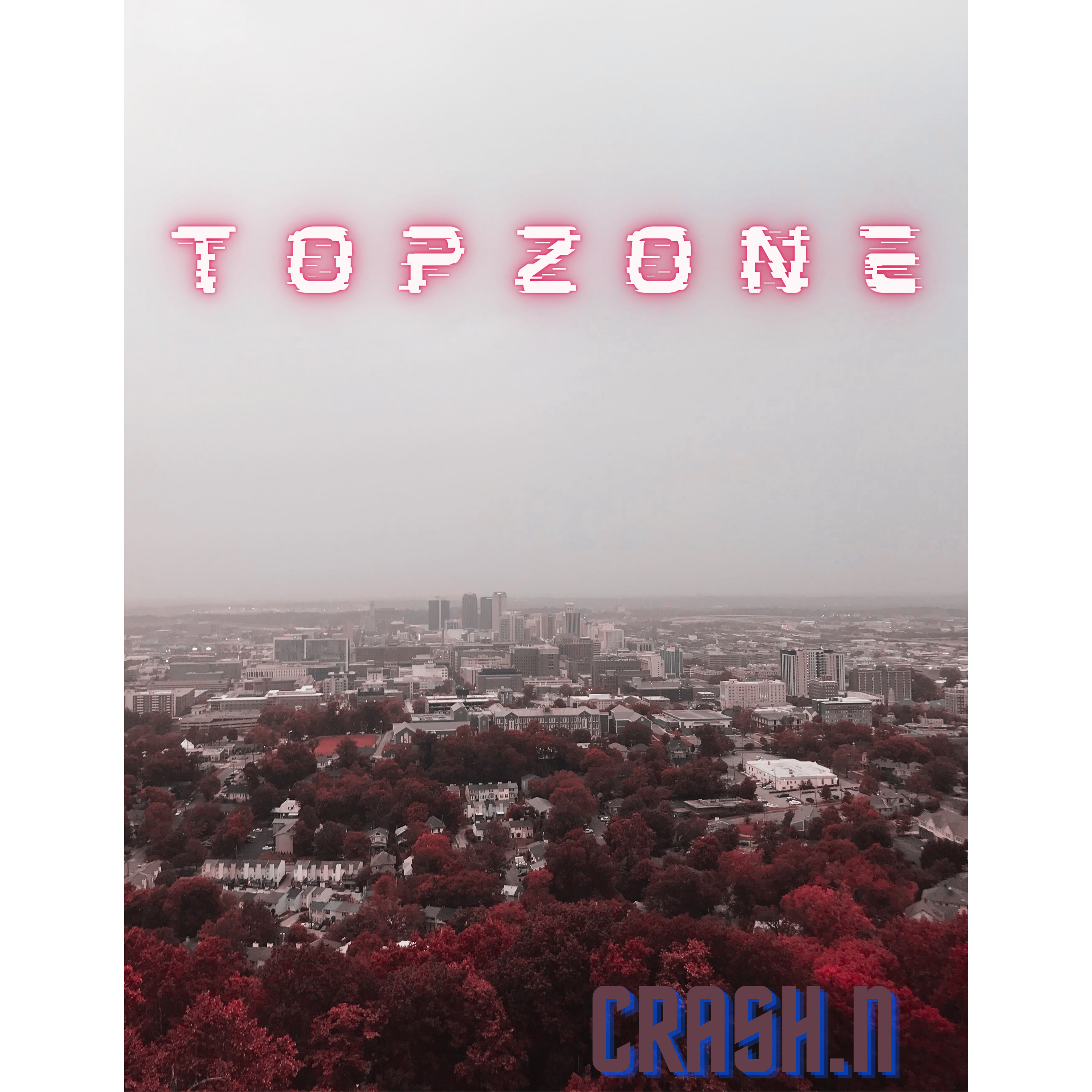 Topzone artwork