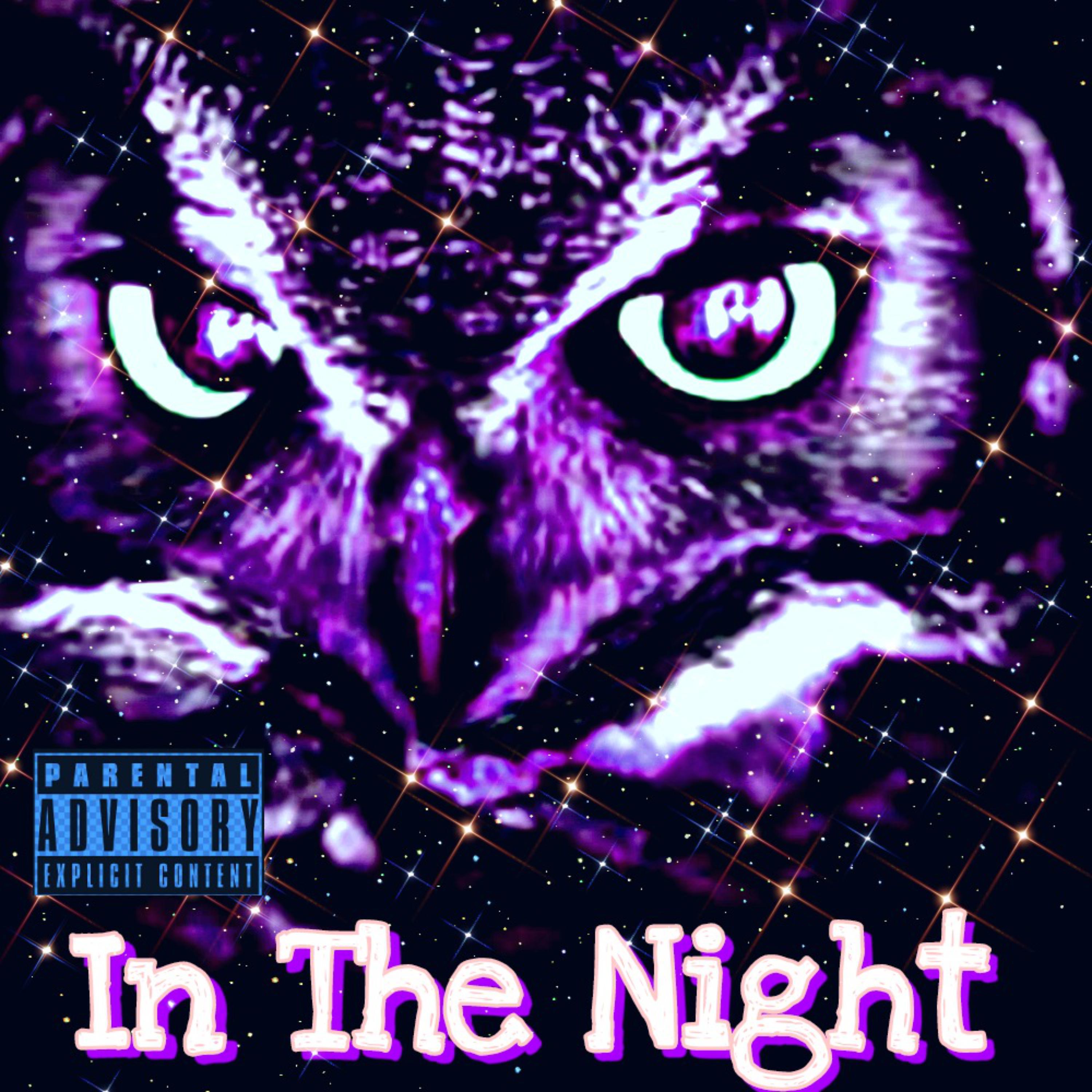 In The Night  artwork