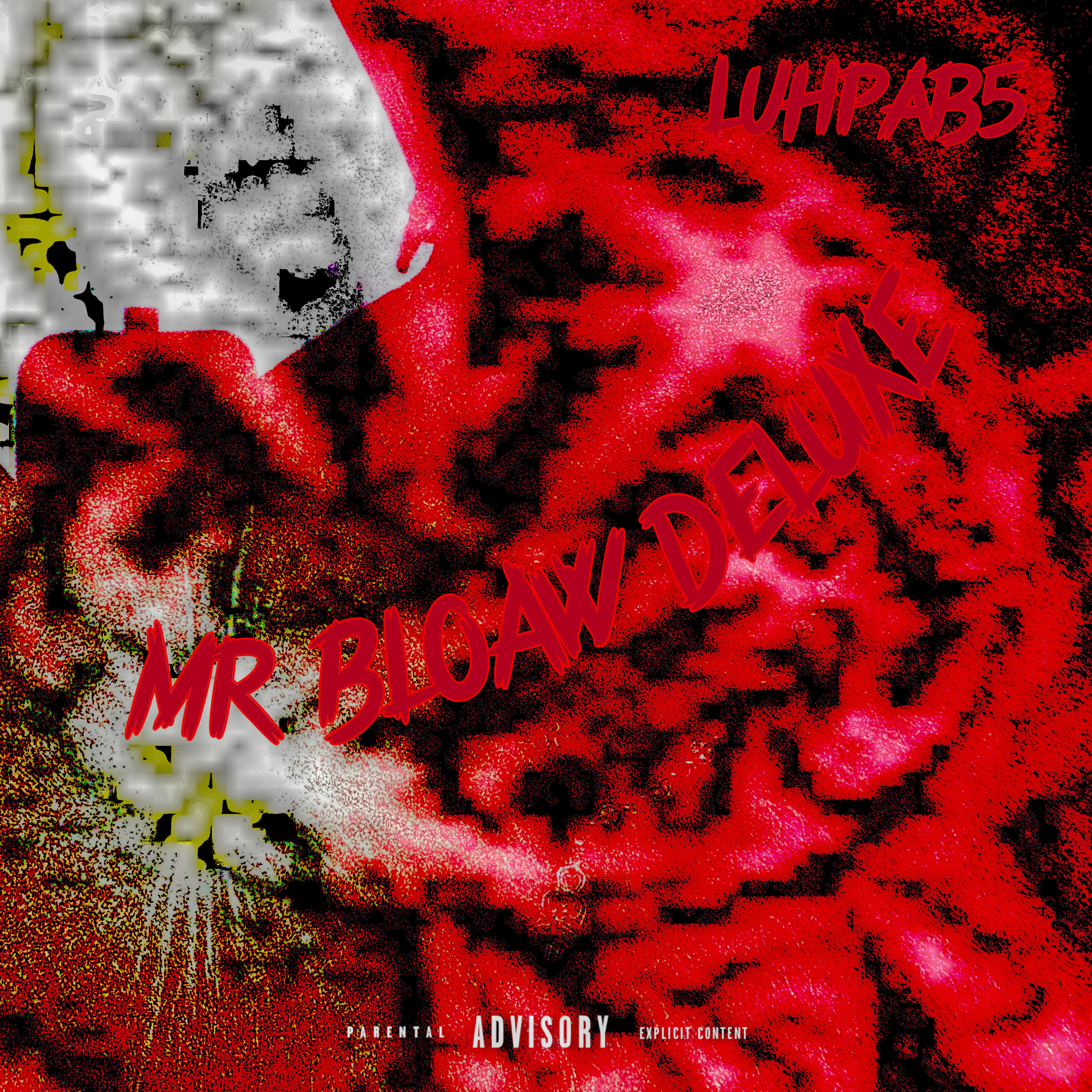 MR BLOAW DELUXE artwork