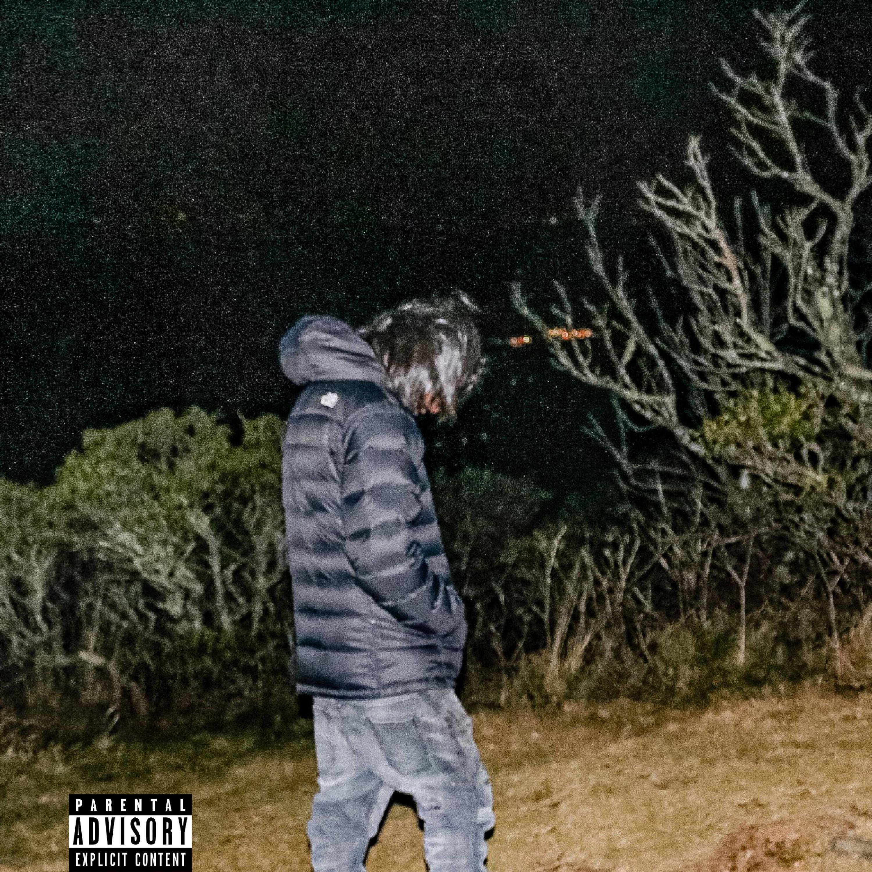 Moon(vampin) artwork
