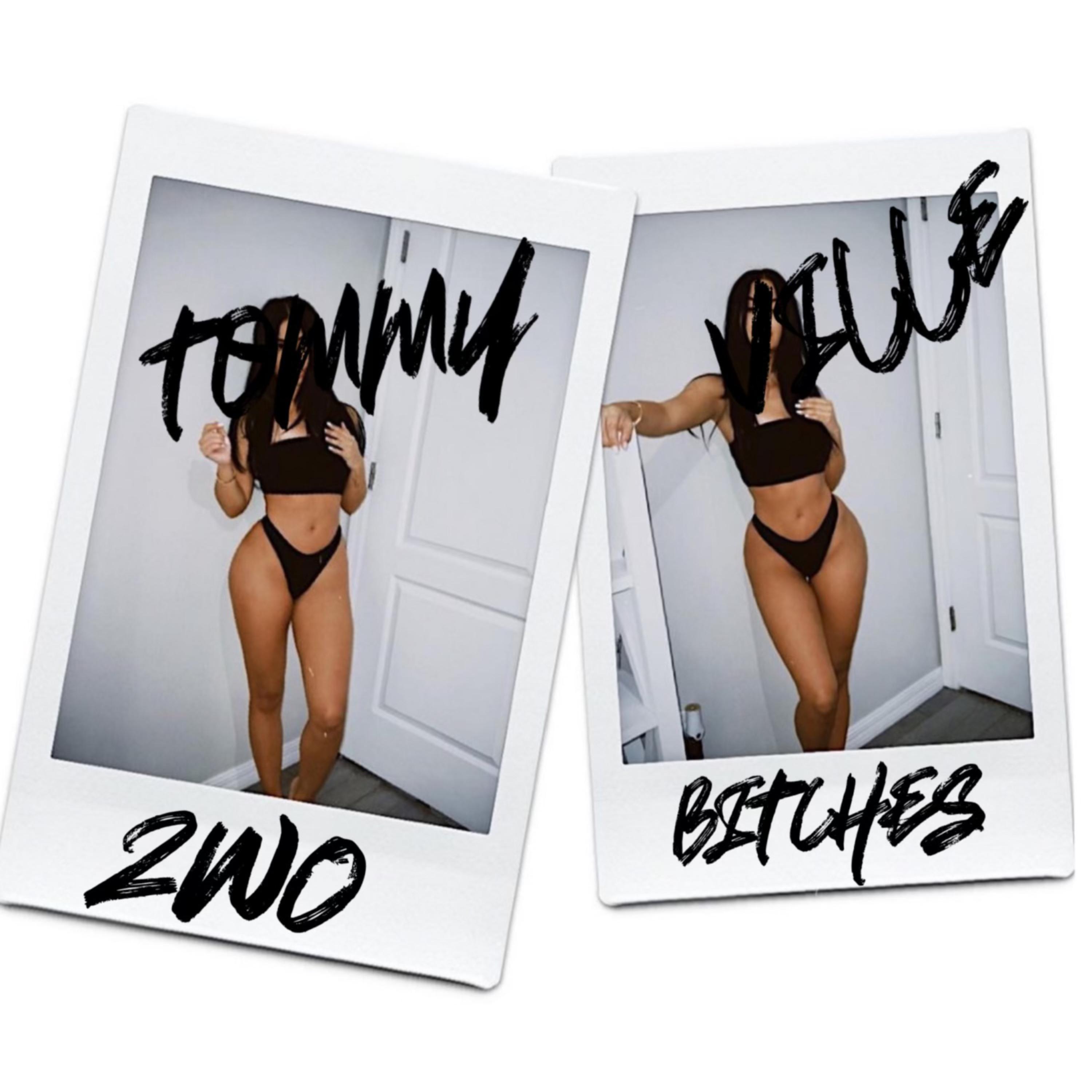 2wo Bitches artwork
