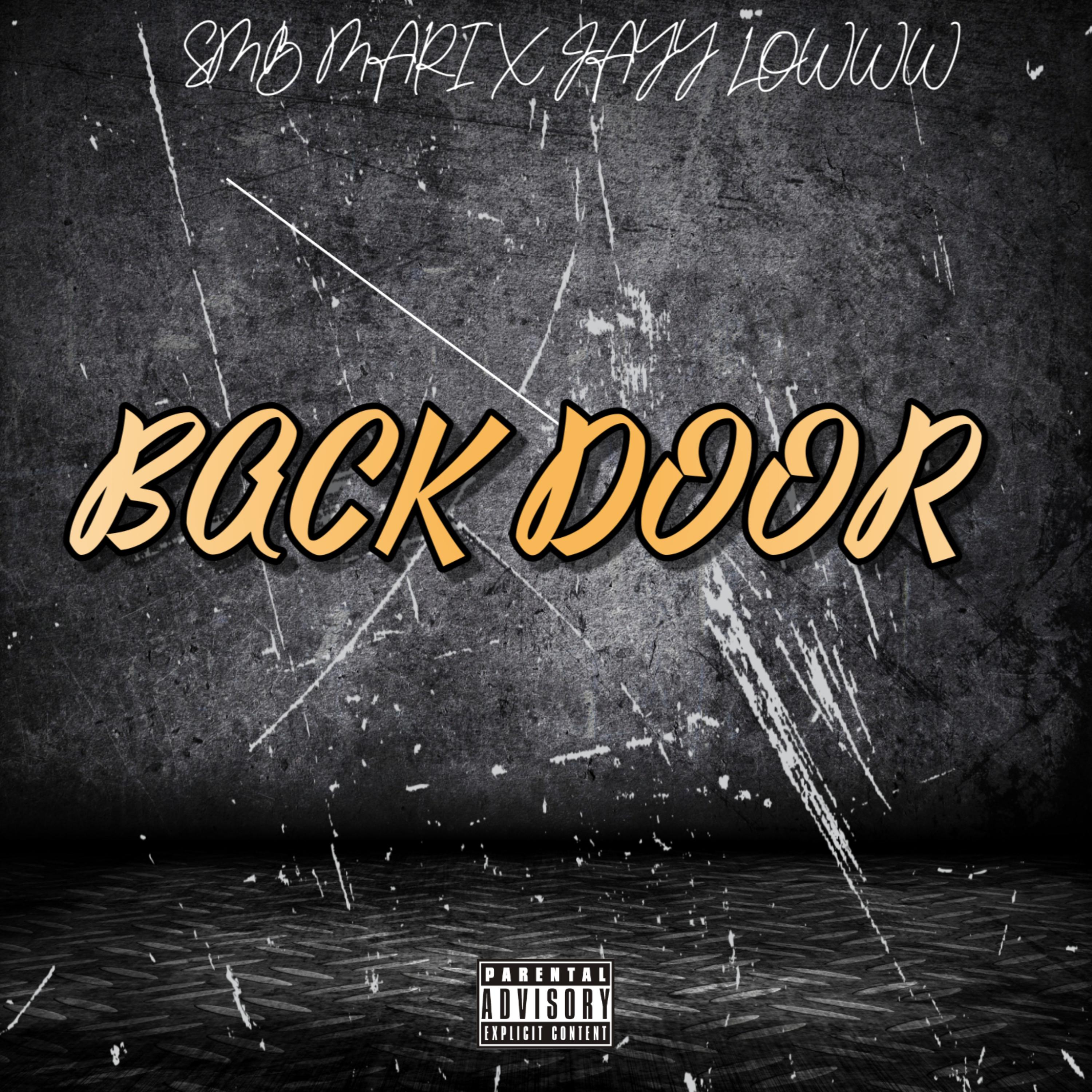 BACKDOOR artwork