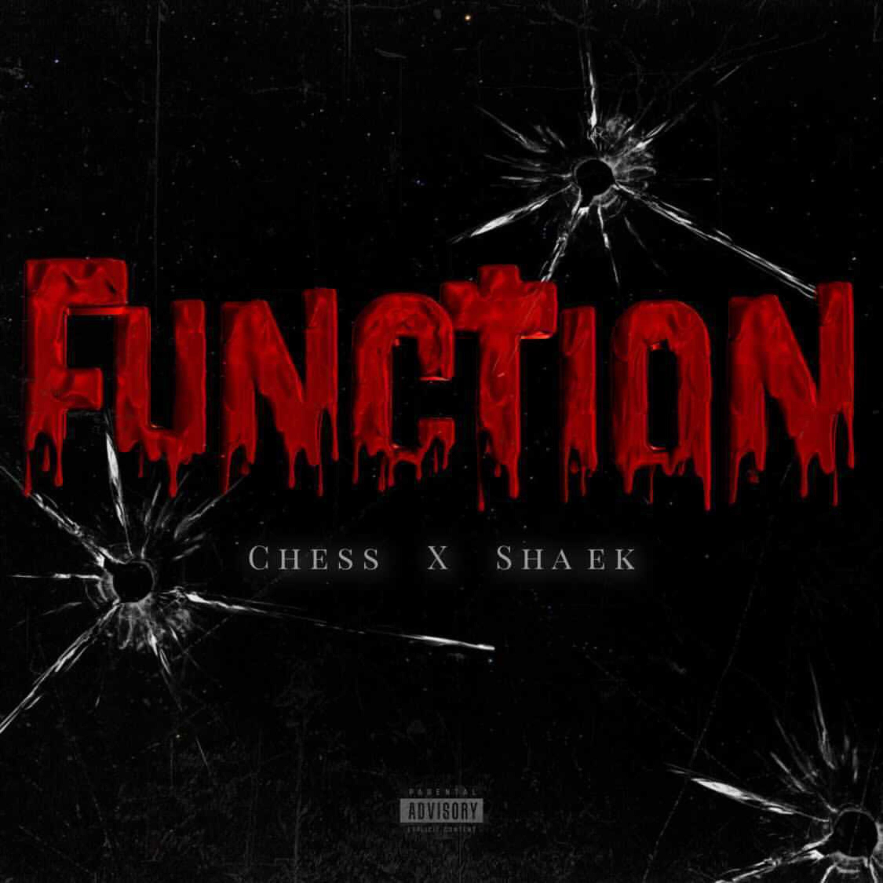 Function artwork