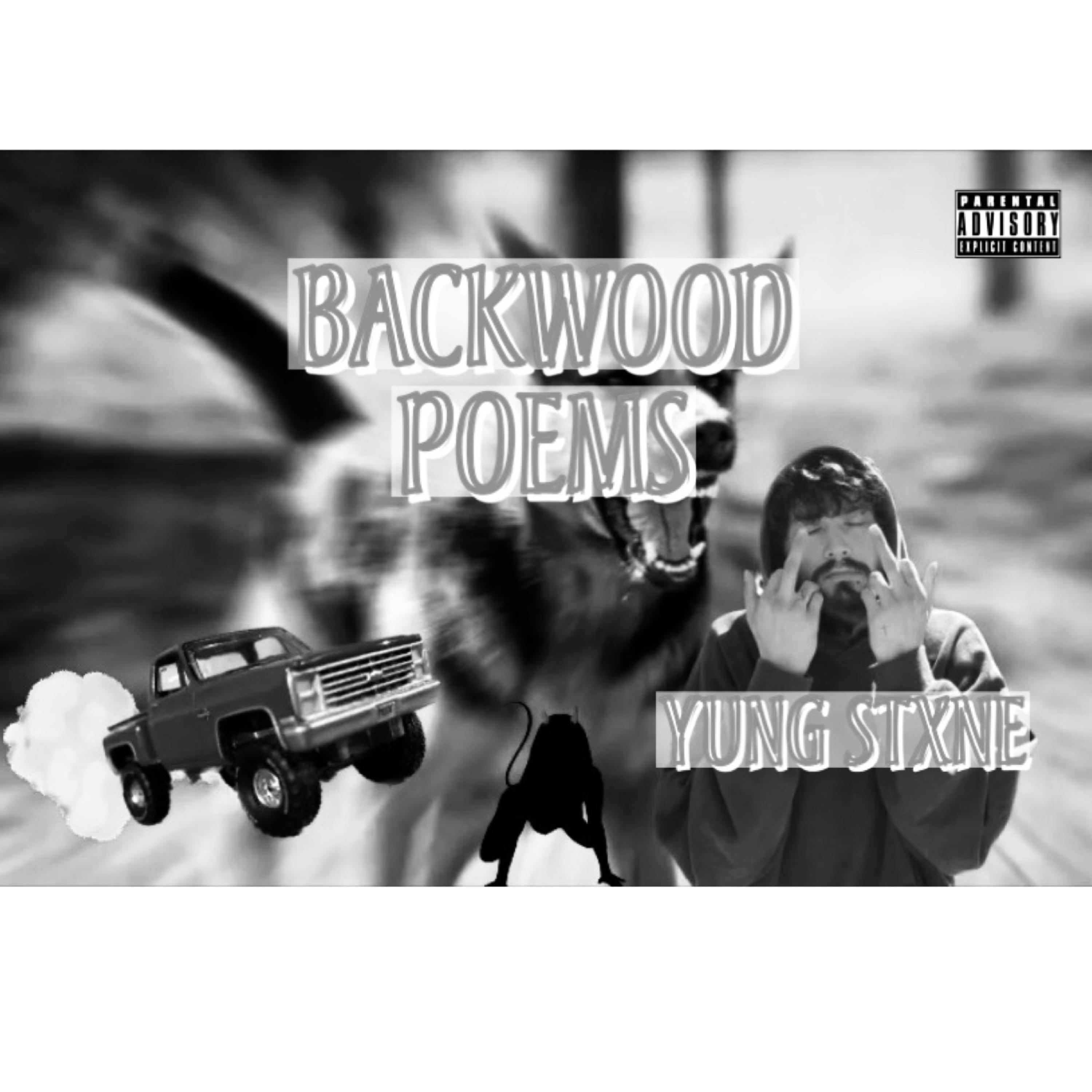 BACKWOOD POEMS artwork