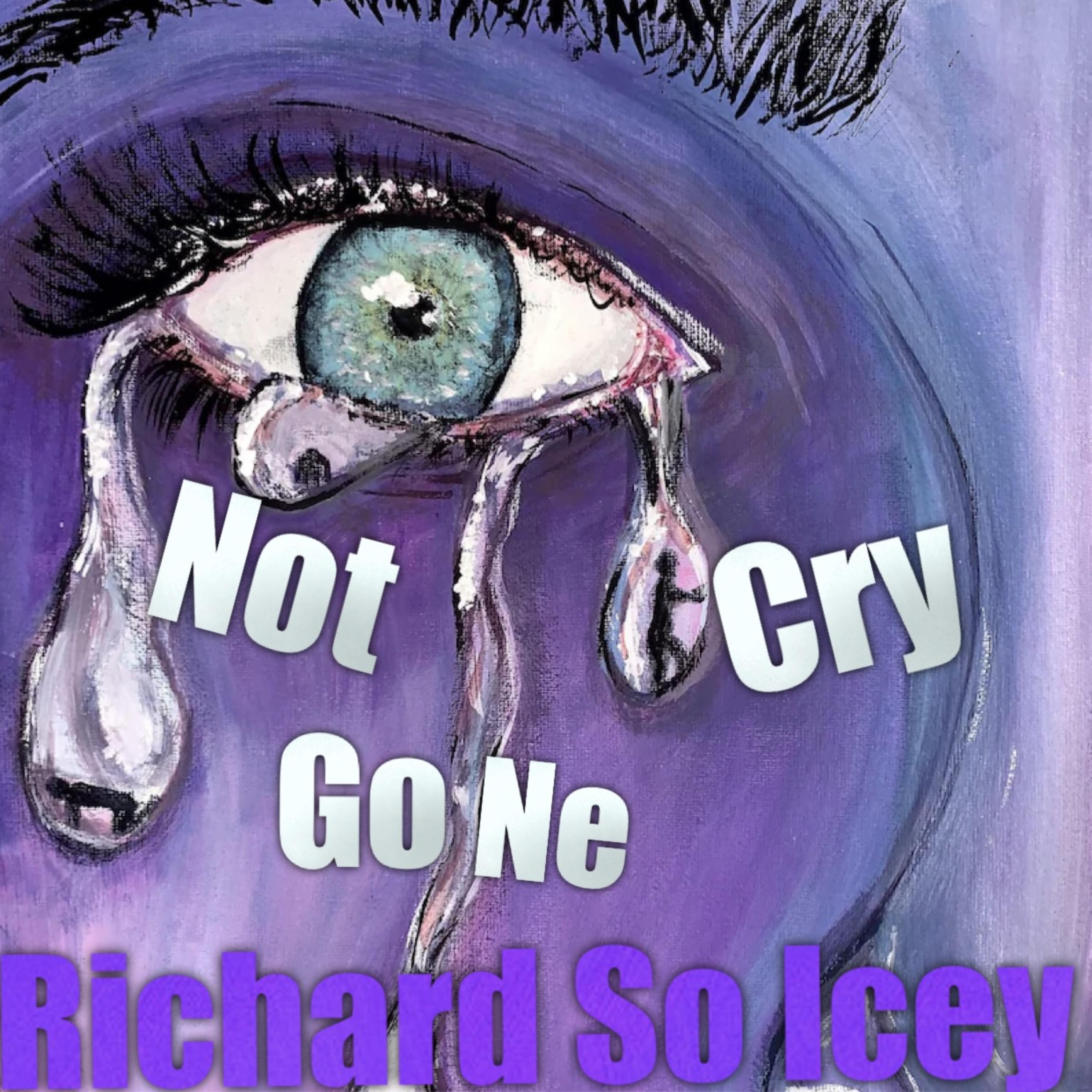 Not Gone Cry artwork