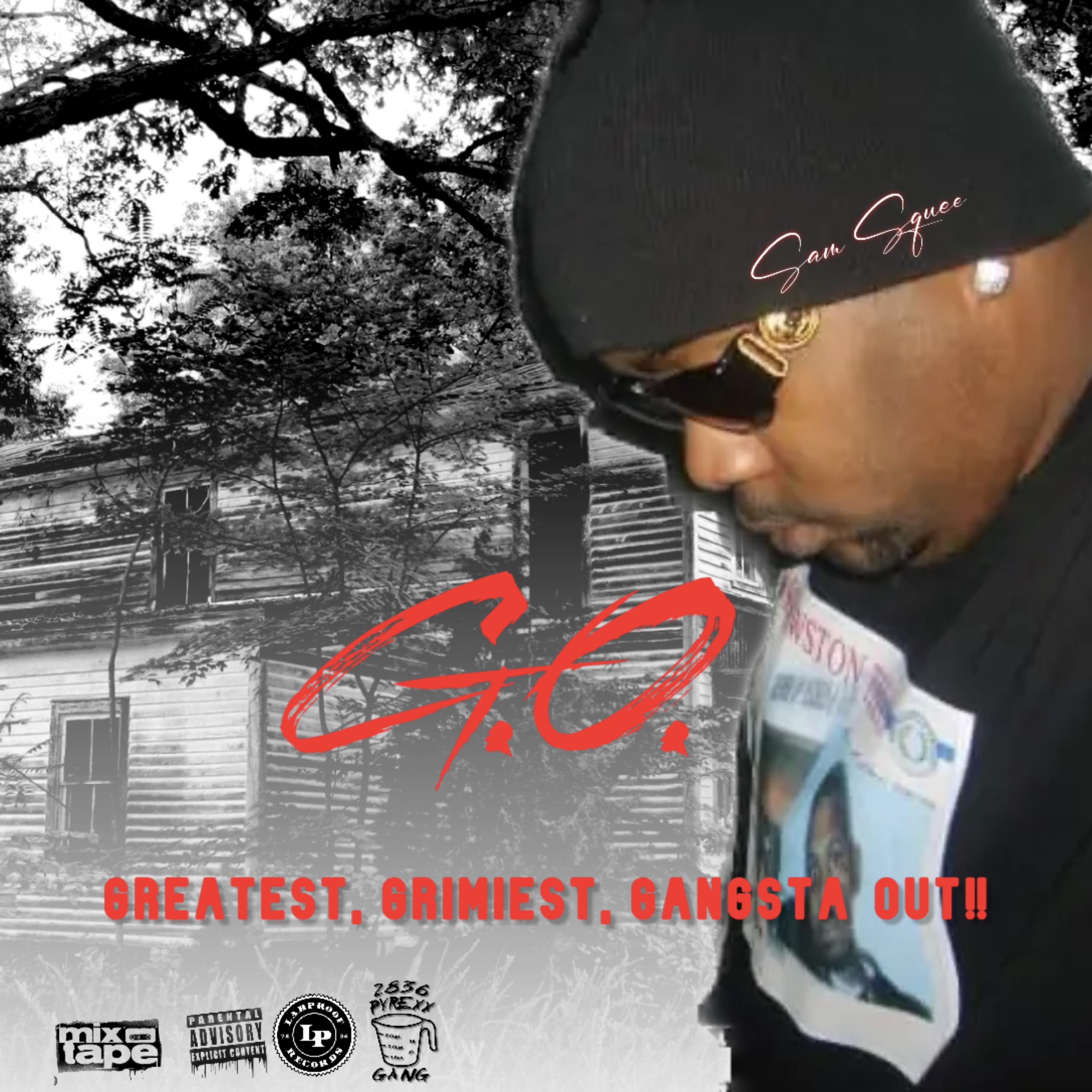 G.O. by Sam Squee cover art