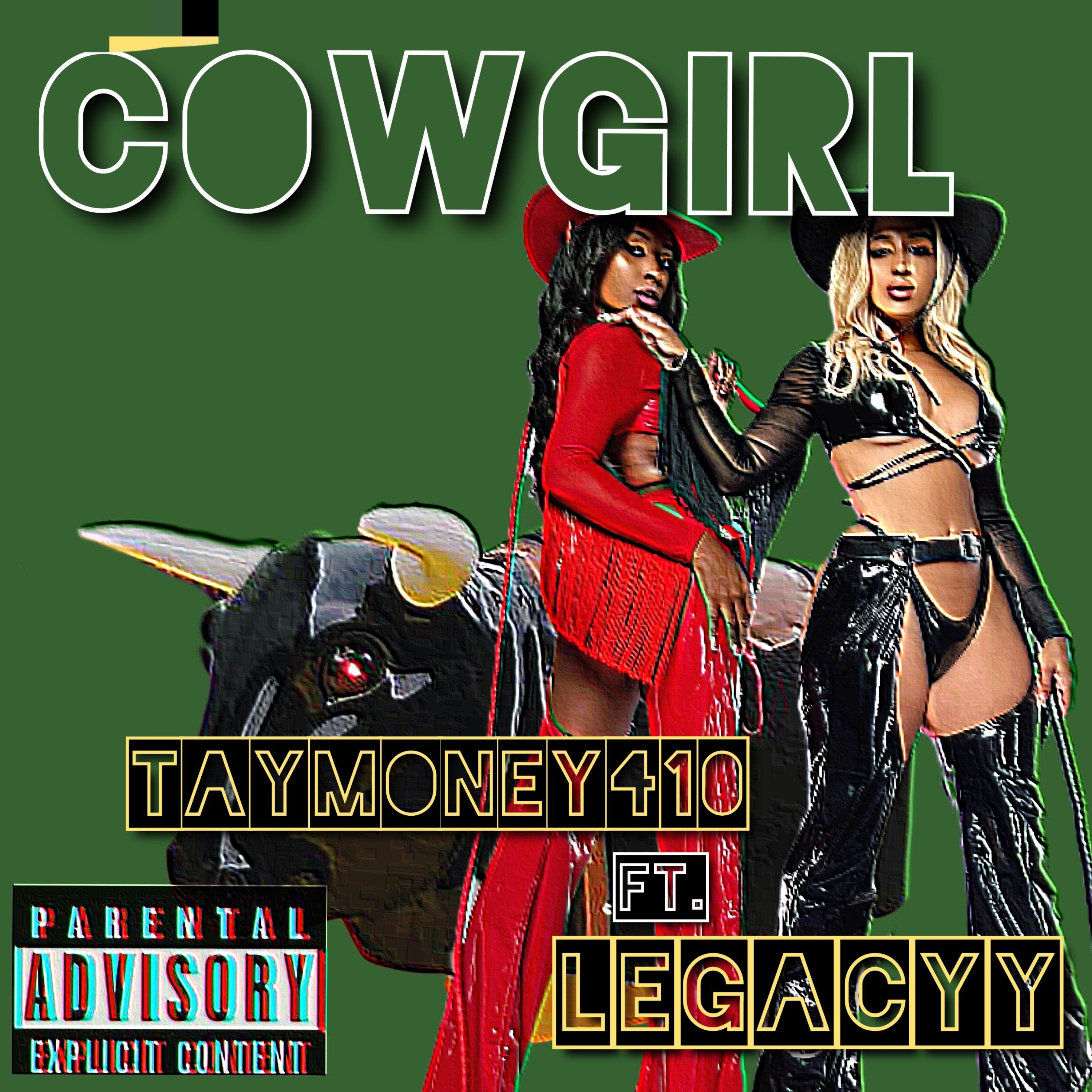 Cowgirl artwork