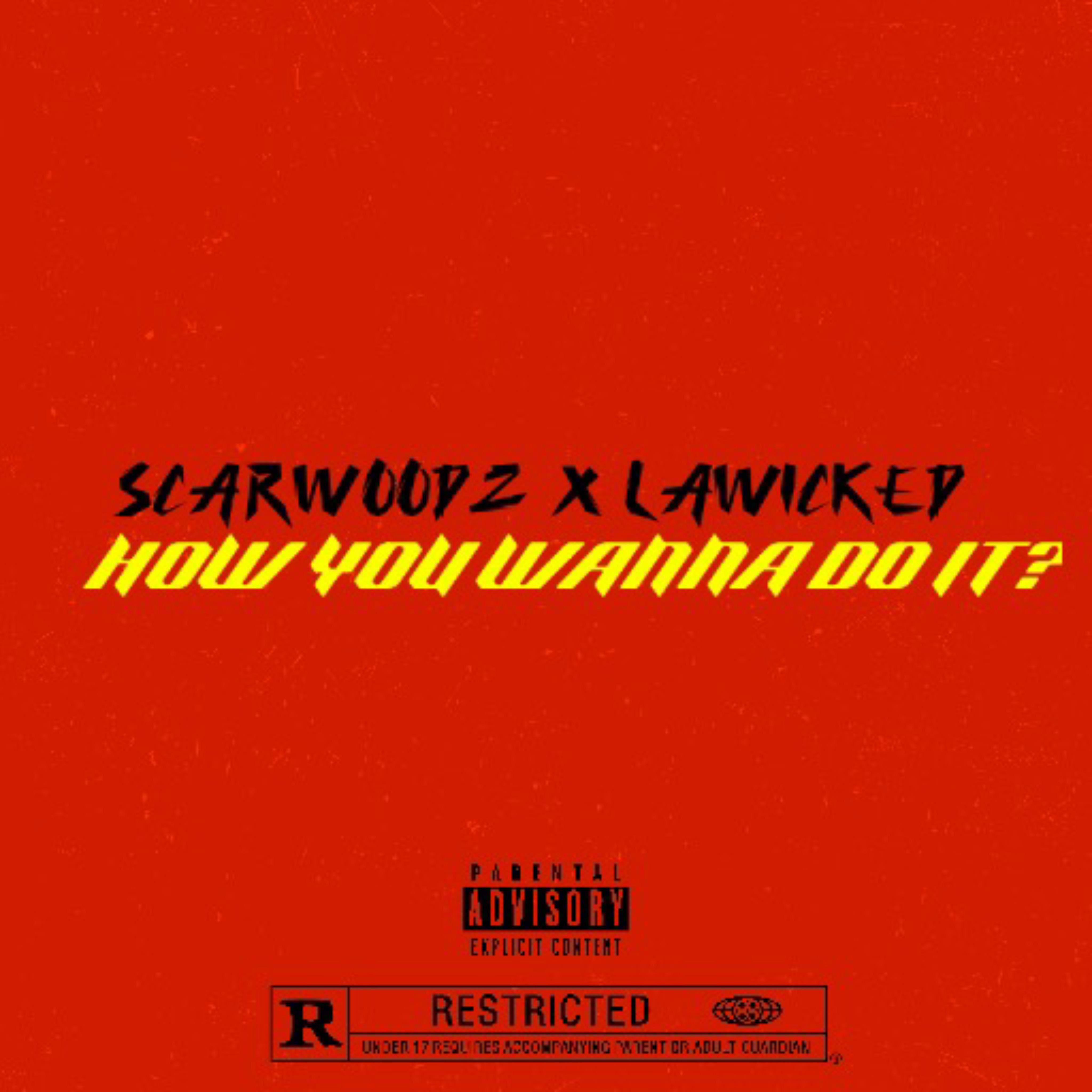 HOW YOU WANNA DO IT? artwork