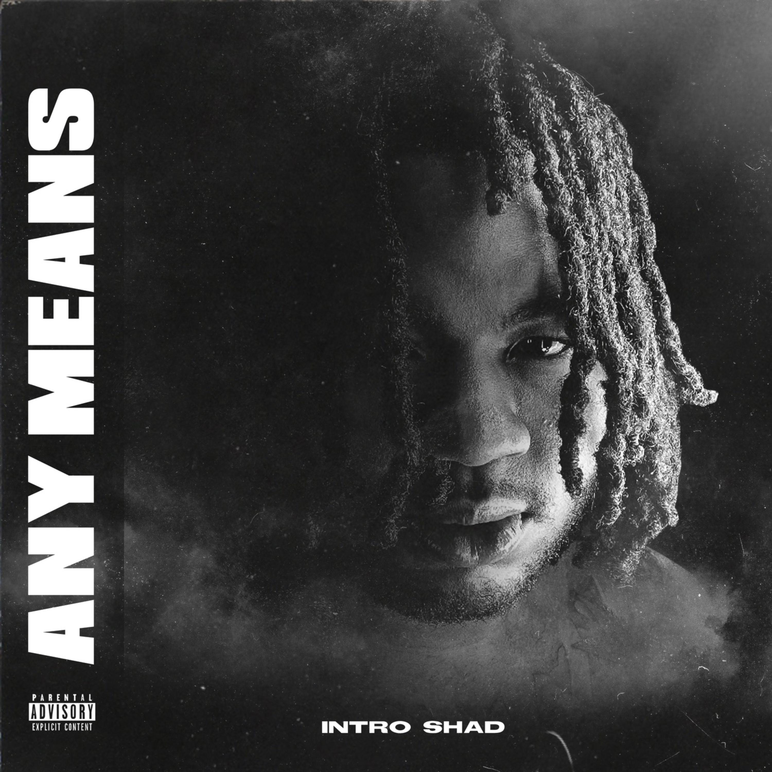 ANY MEANS artwork