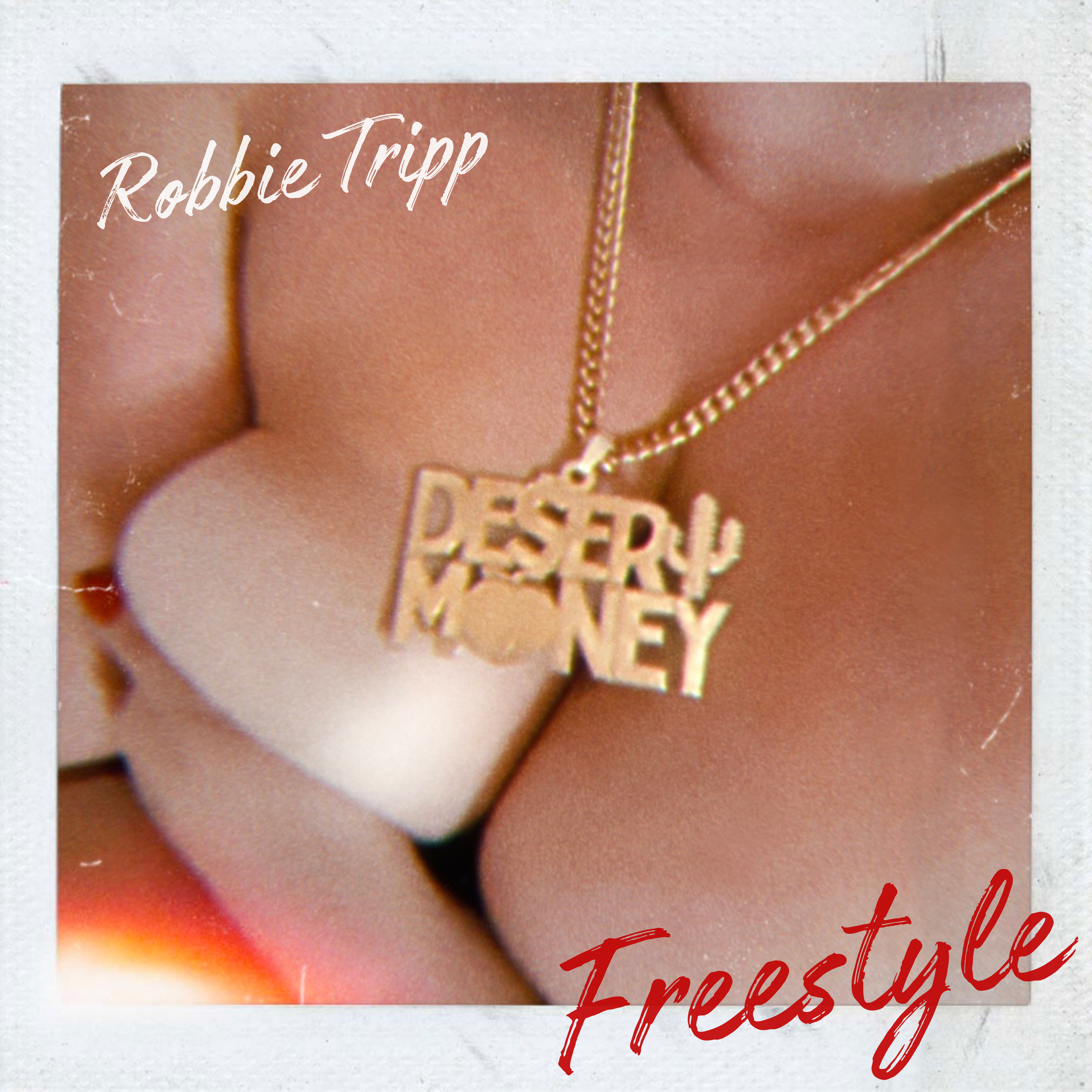 Desert Money Freestyle artwork