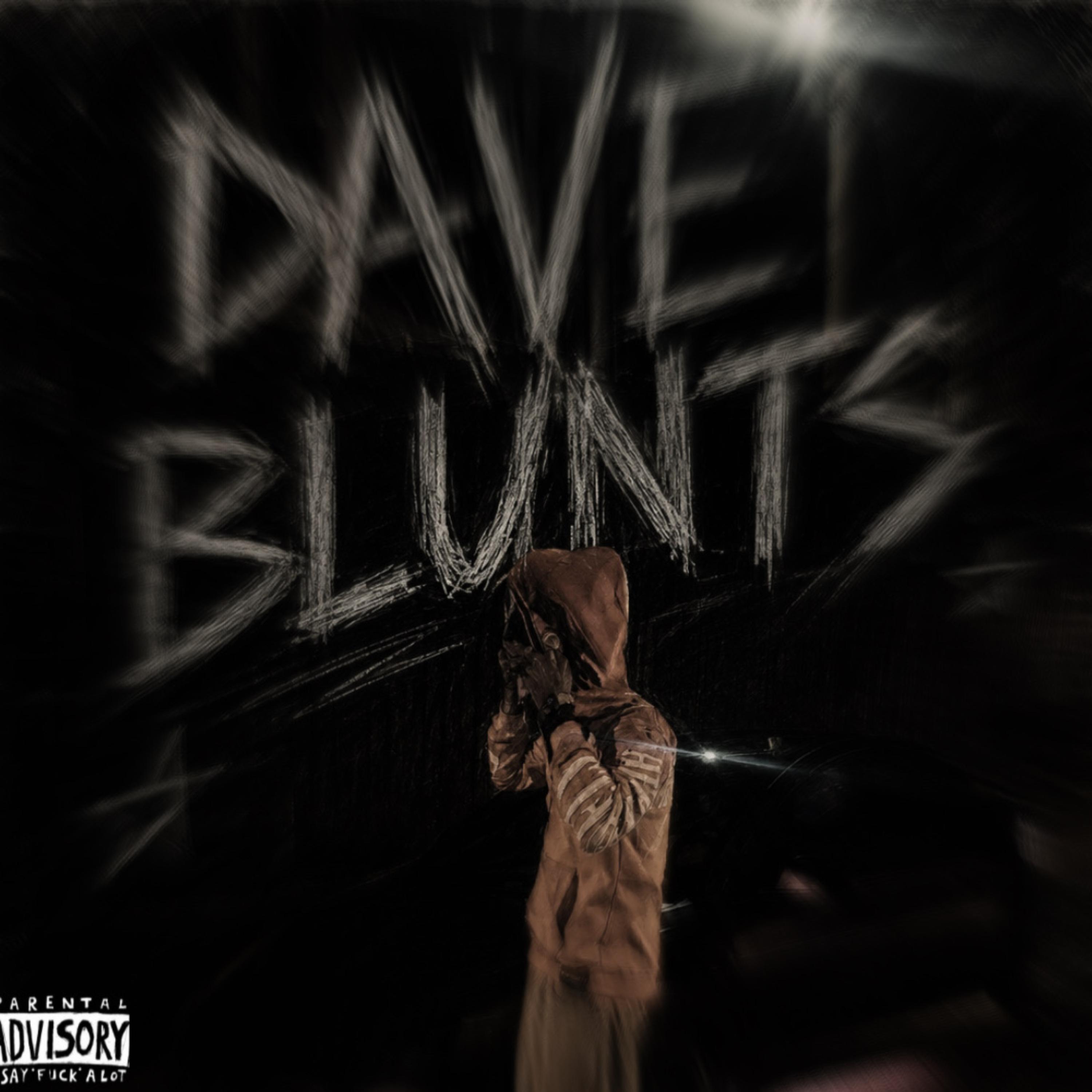 D BLUNTS by OZdaWiz cover art